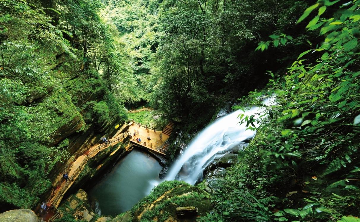 雨城深处的碧峰峡，是被烟雨偏爱天然秘境。
清谷纵深连绵，青崖覆满苍藤古木，飞瀑顺