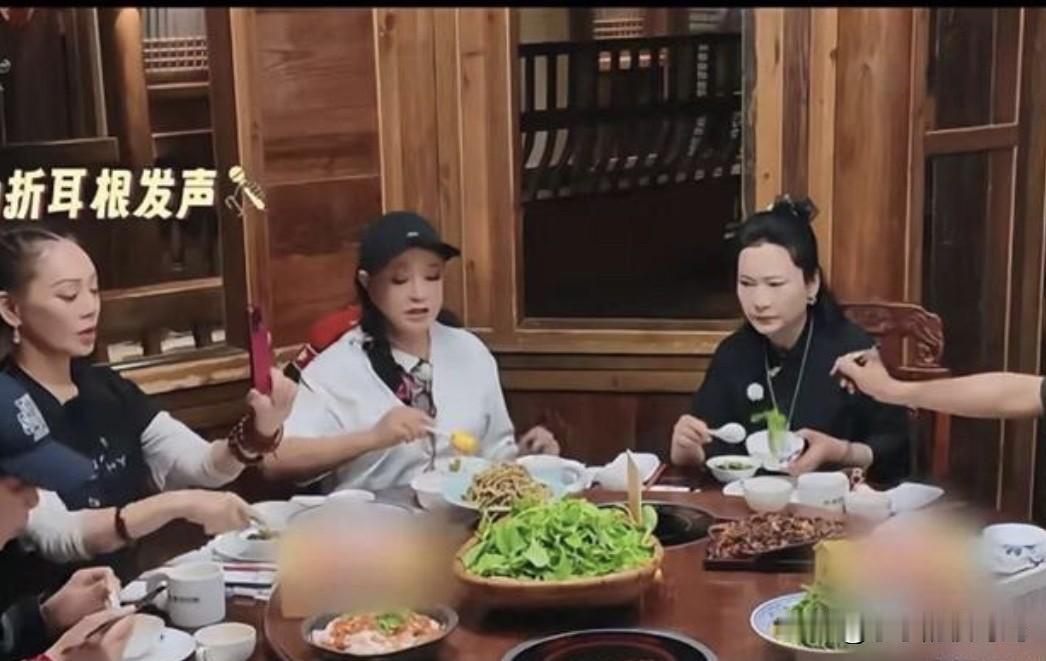 太奇怪了，何赛飞竟然说折耳根难吃！还说它的味道令人发指！有没有人和我一样，觉得折