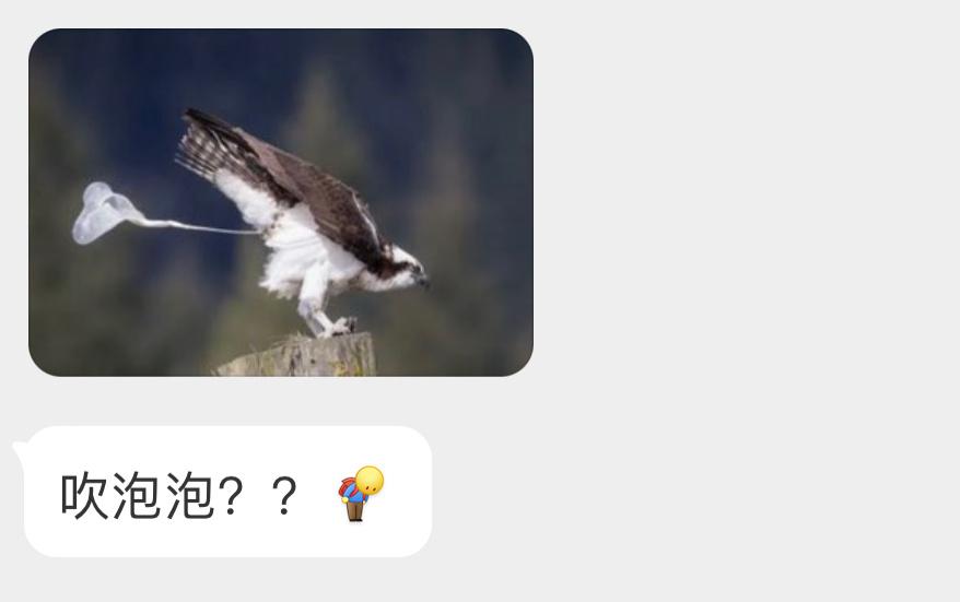 正拉粑粑的鹗è🙊 ​​​