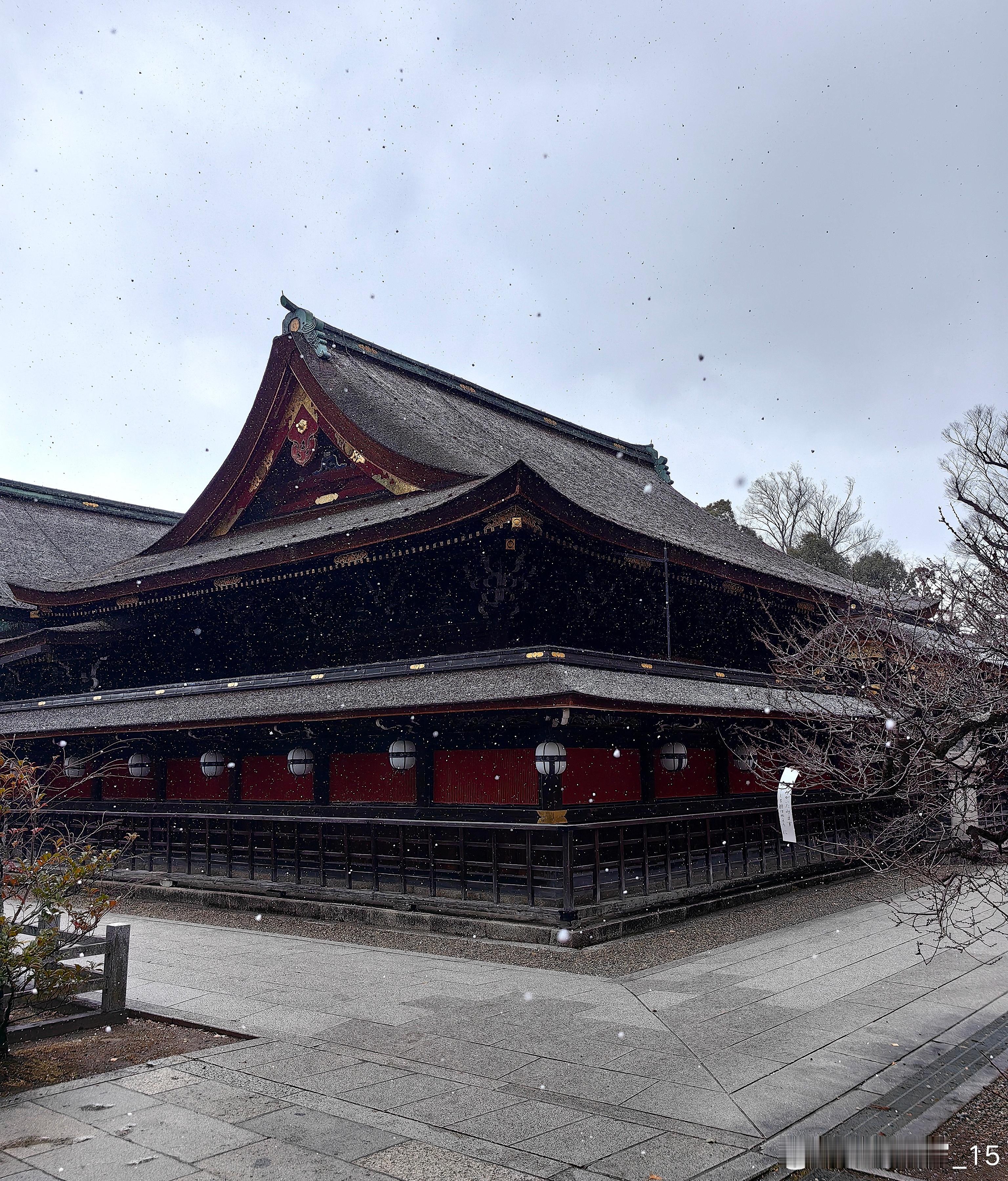 每天随手拍身边  不知是雨还是雪顷刻间屋顶就覆了一层 