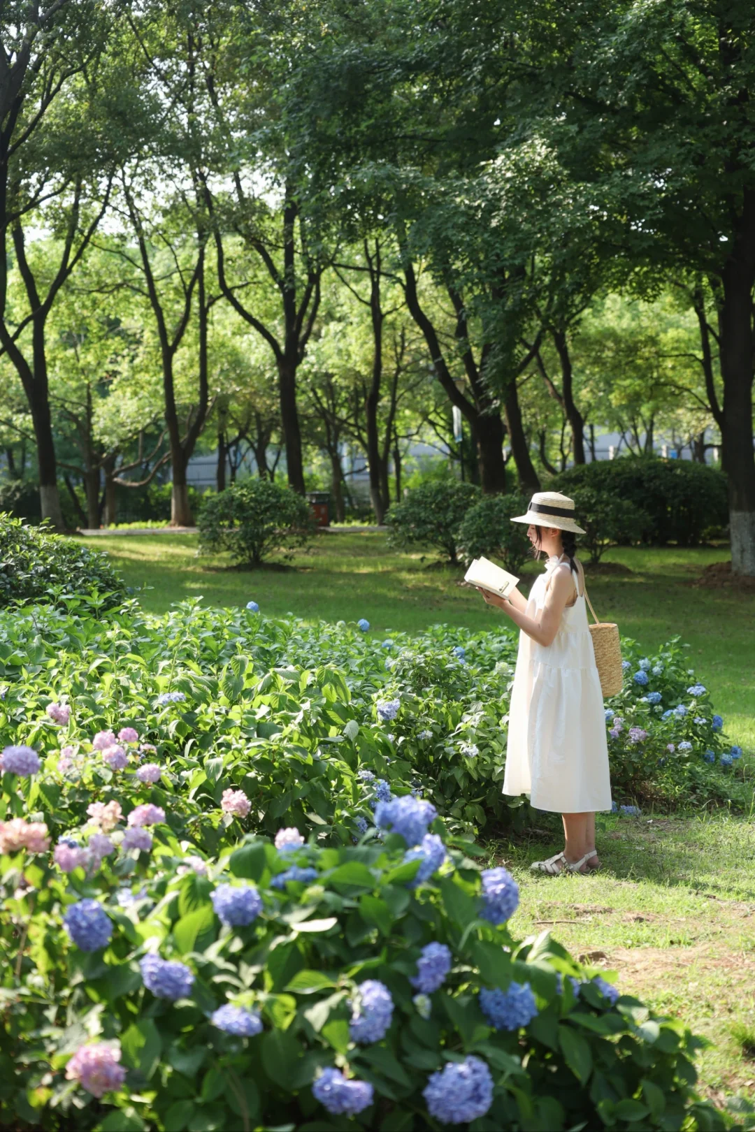 武汉这个小众公园严重被低估❗️美成油画