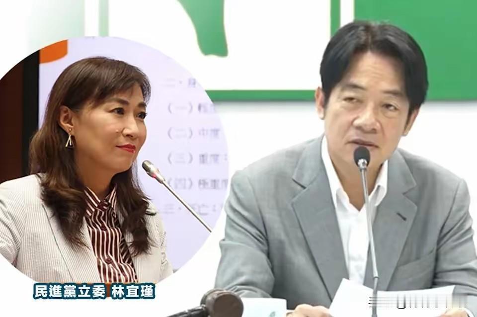 了不得了，台湾省执政的民进党籍立委林宜瑾提出议案，欲将“两岸人民关系条例（《台湾