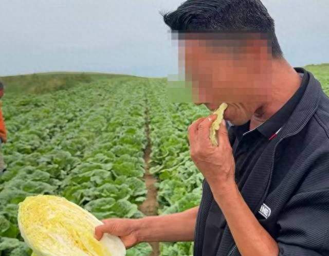 “甲醛白菜”毁掉1.1万亩白菜！商贩跑了，菜农哭晕在地里