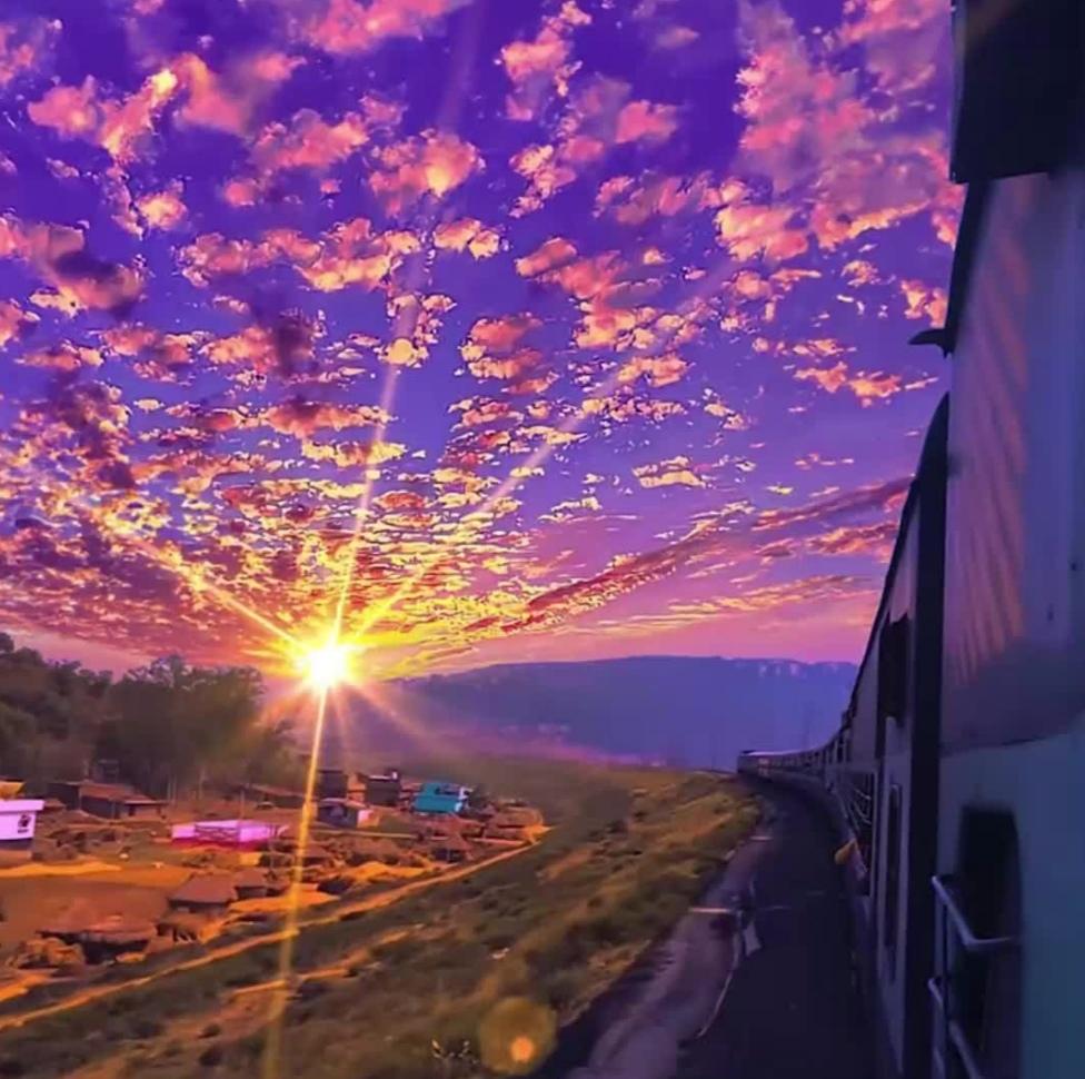 分享一张最近随手拍的照片