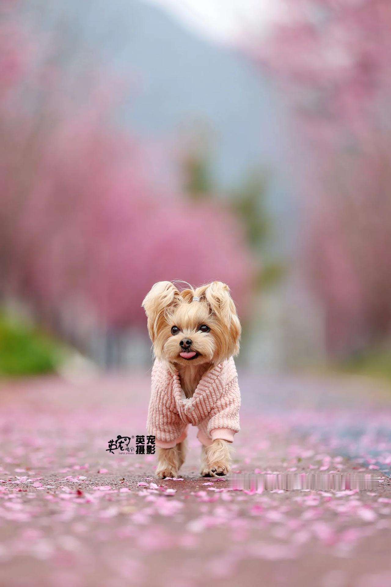 和小伙伴一起出门，总是开心的🥰
【杭州拍摄】