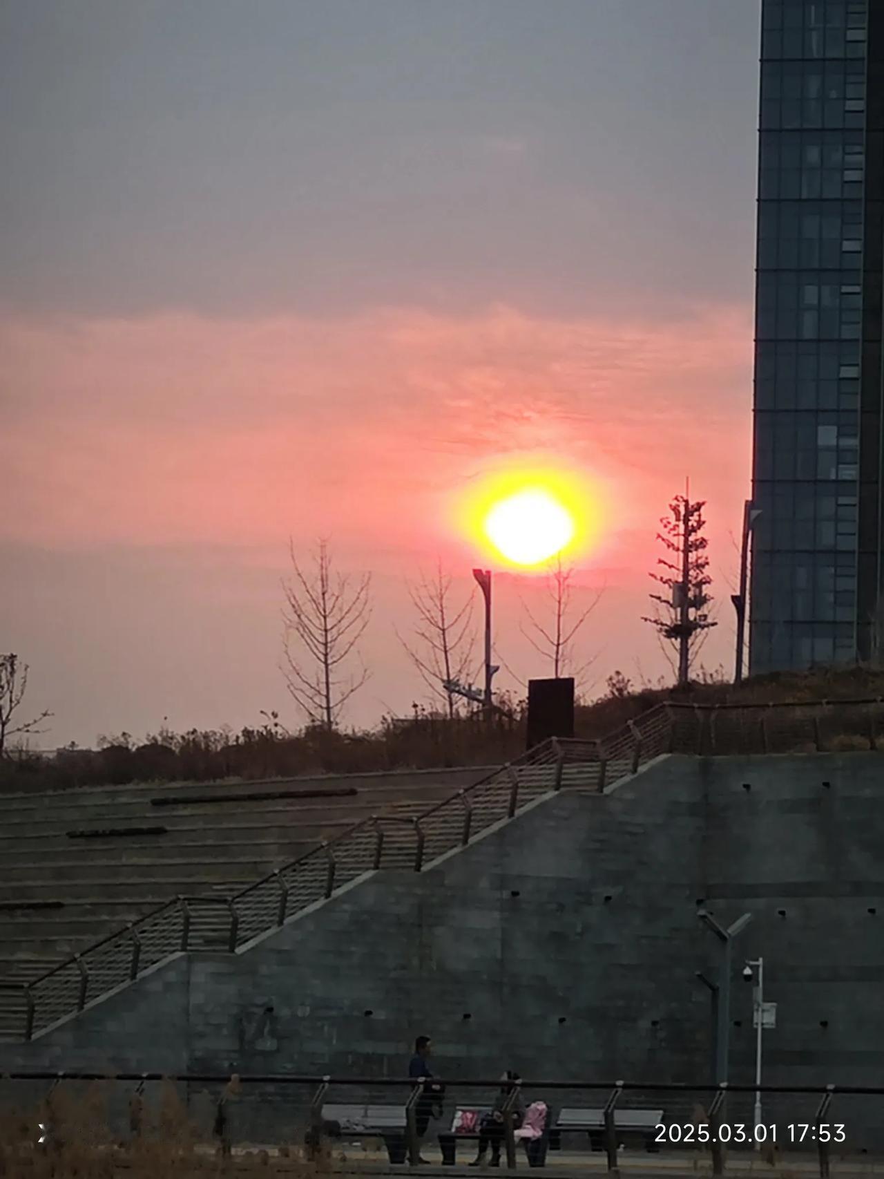 经济学家郎咸平说：AI将取代人类，未来95%的人将无法生存。

他还说：“AI绝