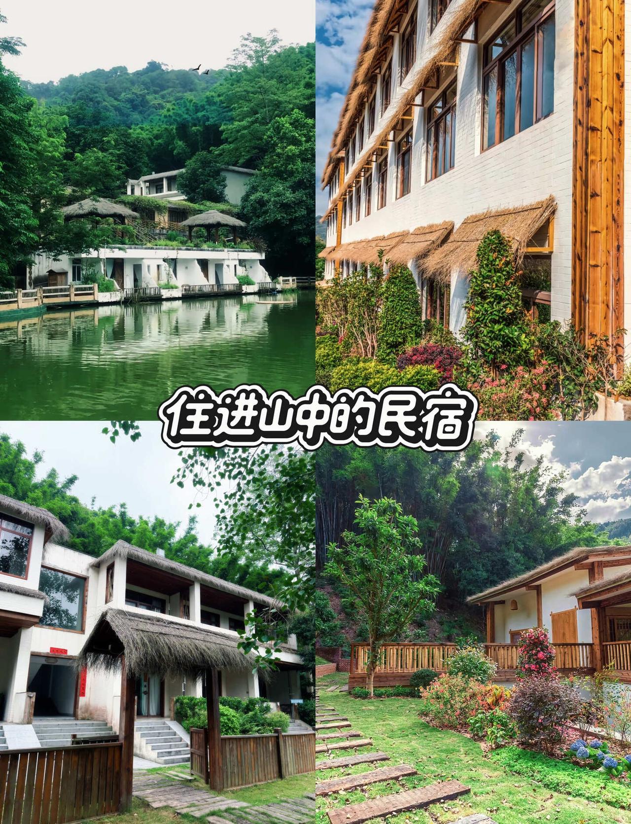 帽峰山端午亲子游｜不踩雷的沉浸式遛娃攻略
✅适合带娃的端午活动：
粽子 DIY：
