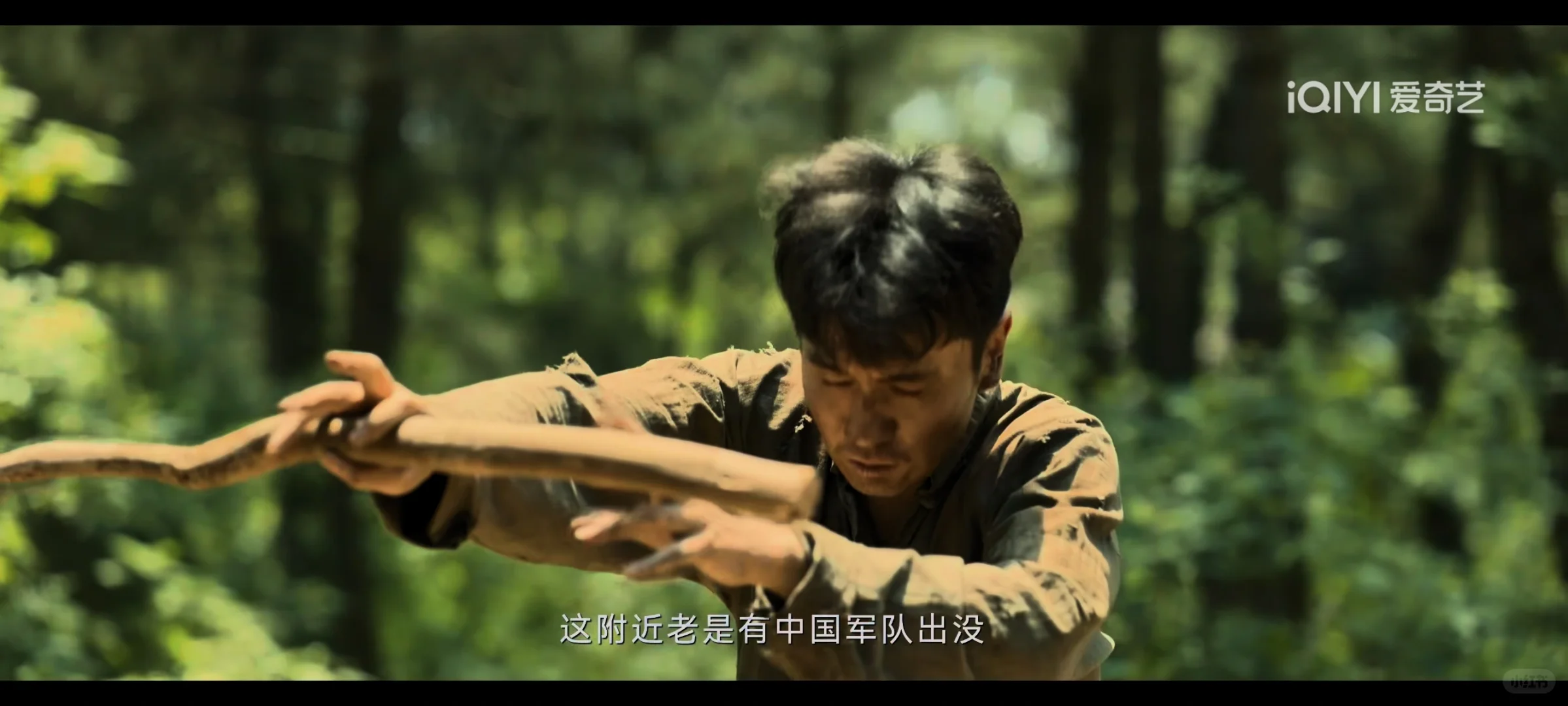 9548身份曝光，成为粉碎落樱计划最重要筹码