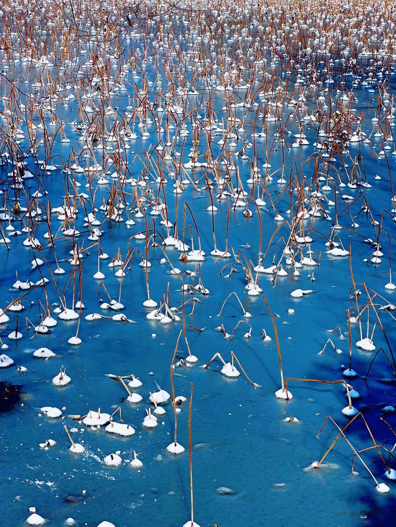 今年冬天的不同