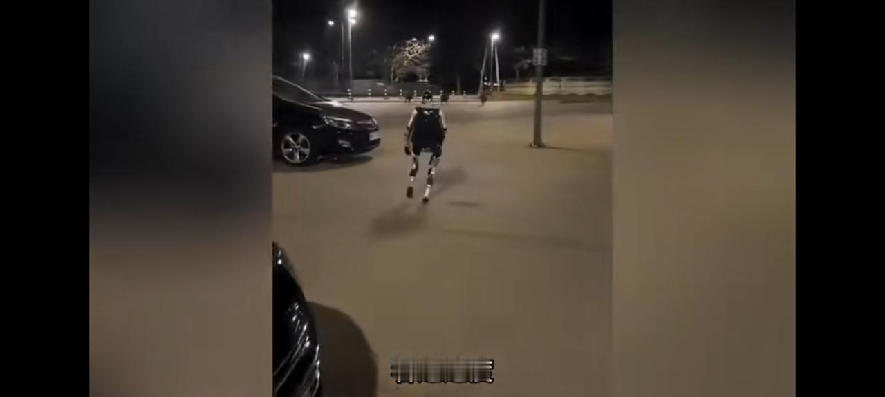 中国机器人波兰夜晚抓野猪，如果投入俄乌战场咋样？
无论任何一方，
不用征兵了直接