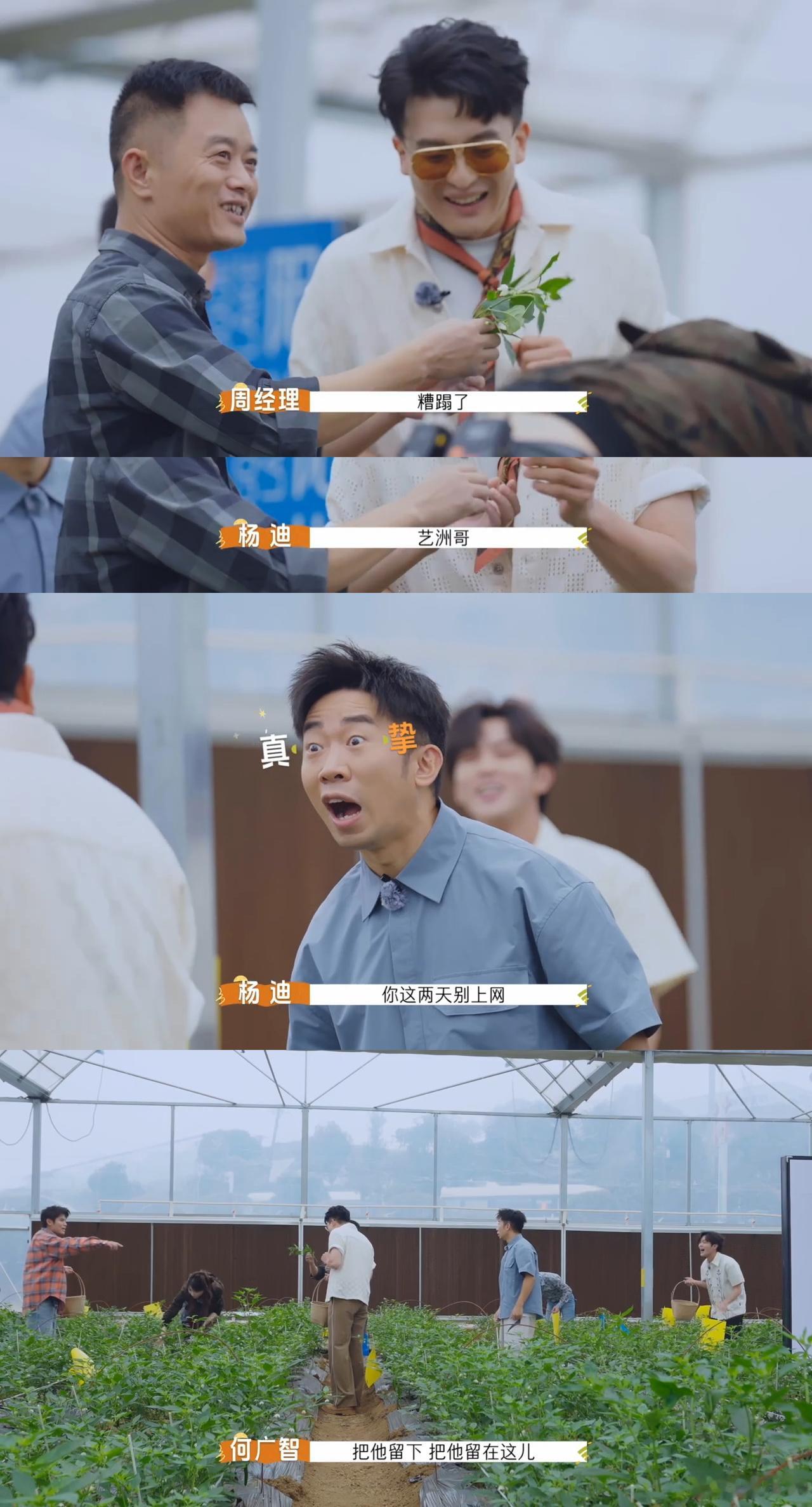 杨迪的公关速度有多快《非来不可》这段名场面必须二刷，杨迪凭借老综艺人的敏锐，毫秒