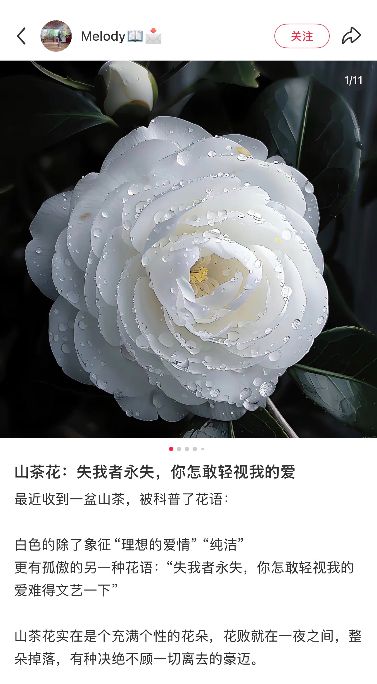 斯对德： 