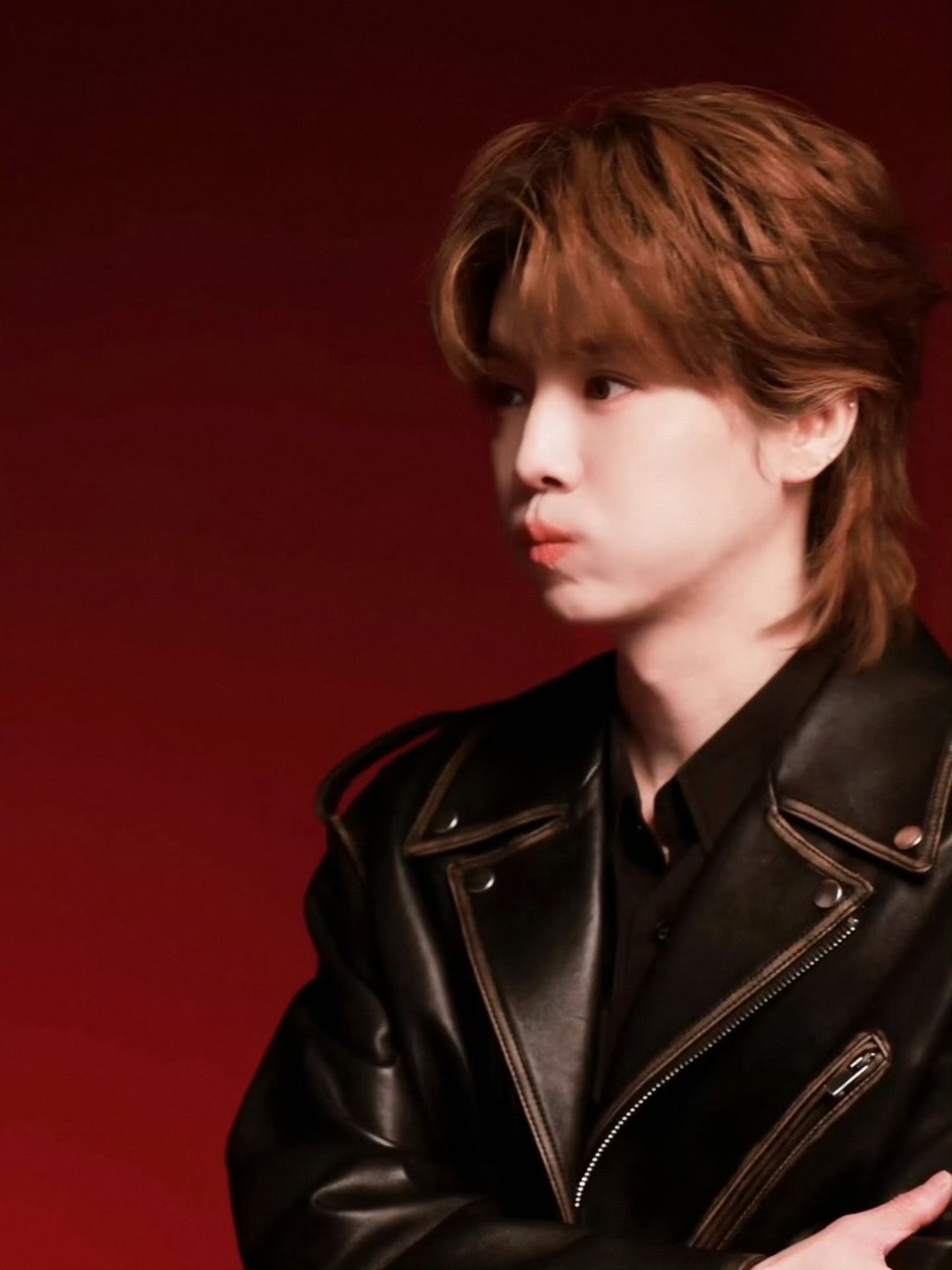 我家楼下有鹿晗建议来我家楼下开让我每天看一眼美美上班