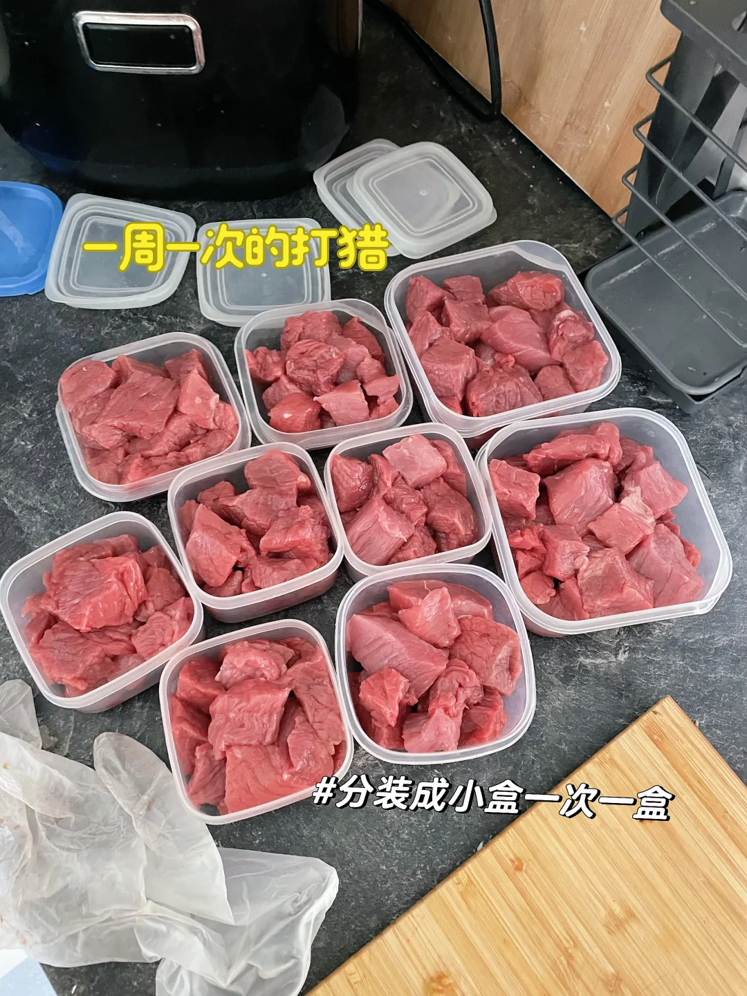 EcoPawPaw生活日常｜打猎归来小猫咪馋哭了