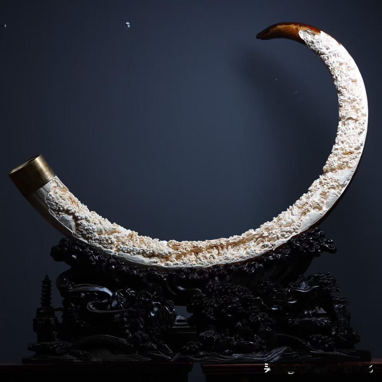 猛犸｜群仙祝寿

第一眼，是震撼。
一弯如月，气势先行。

再看，才发现真正厉害