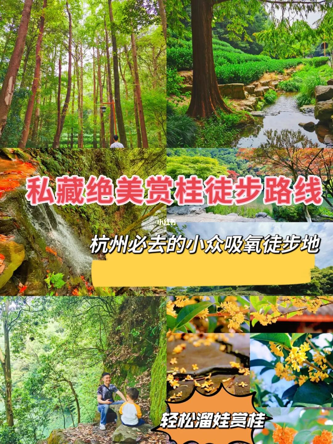 来徒步不见外，私藏的杭州绝美徒步赏桂路线