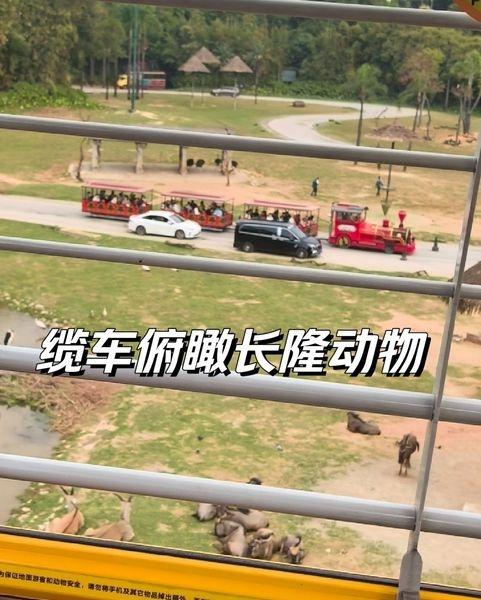 缆车俯瞰长隆动物、小火车
📍广州 广州长隆野生动物世界
0元玩转这座城从缆车俯