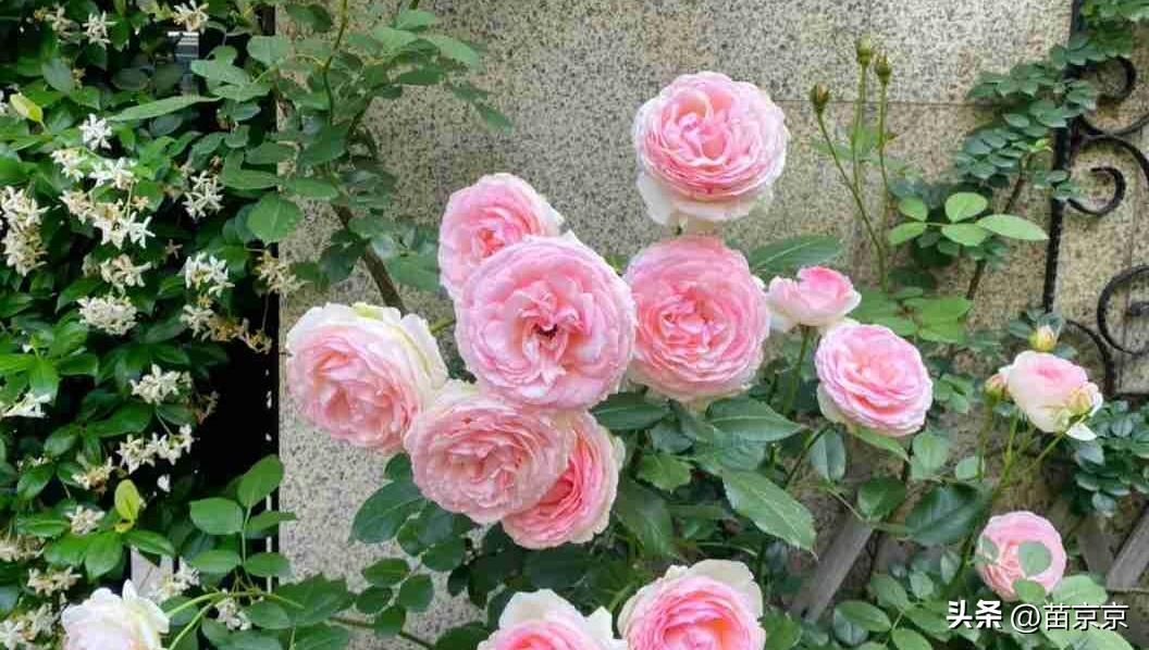 我的今日状态：😁轻松愉快
我这里的天气：☀️晴天