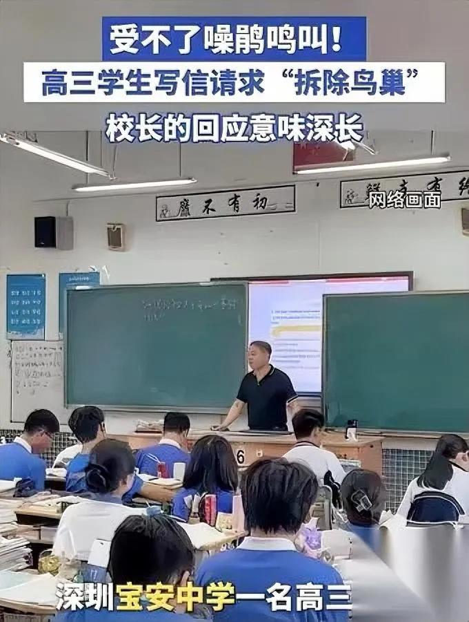 今早刷到个热搜，瞬间愣了。

深圳高三生因为鸟叫，直接给校长写了信——

要端掉