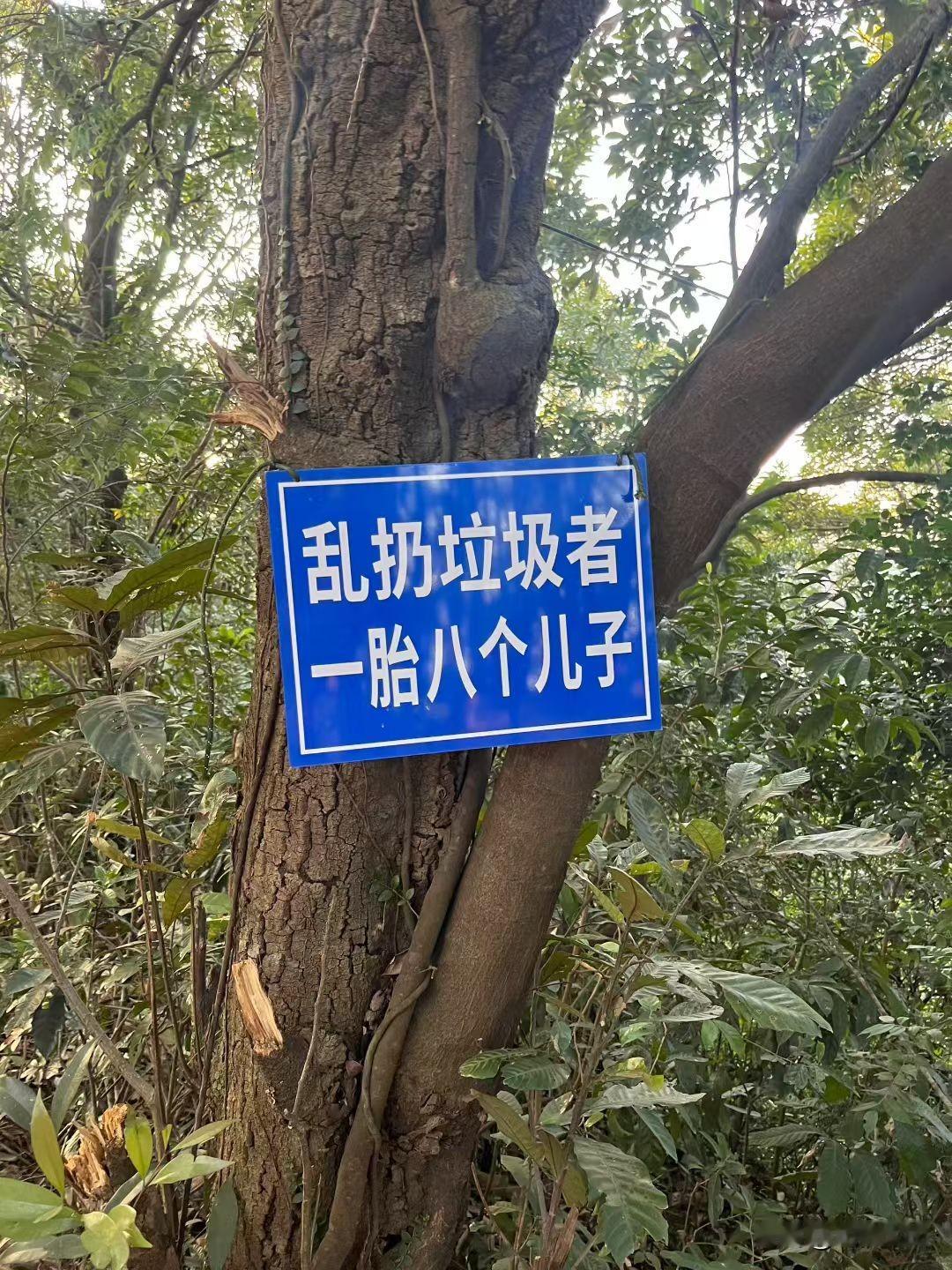 【乱扔垃圾者，一胎生8个儿子，这个标语令我失去了基本判断】这是深圳一个山道小径的