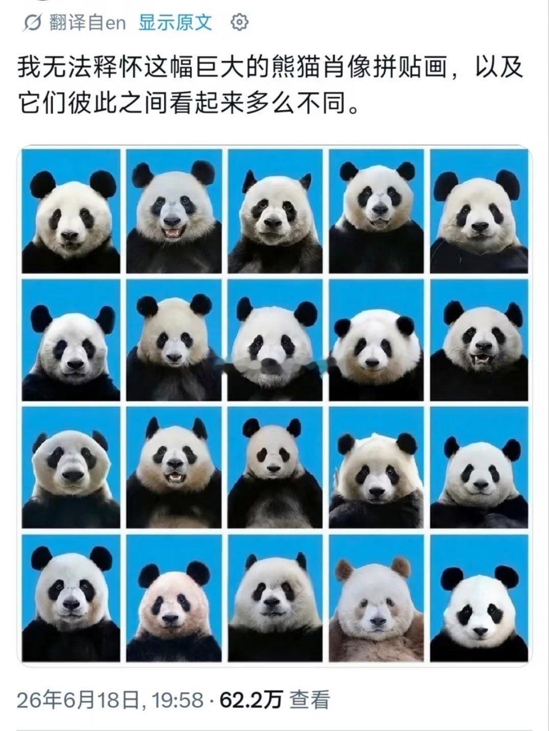 路人看时代峰峻证件照belike 