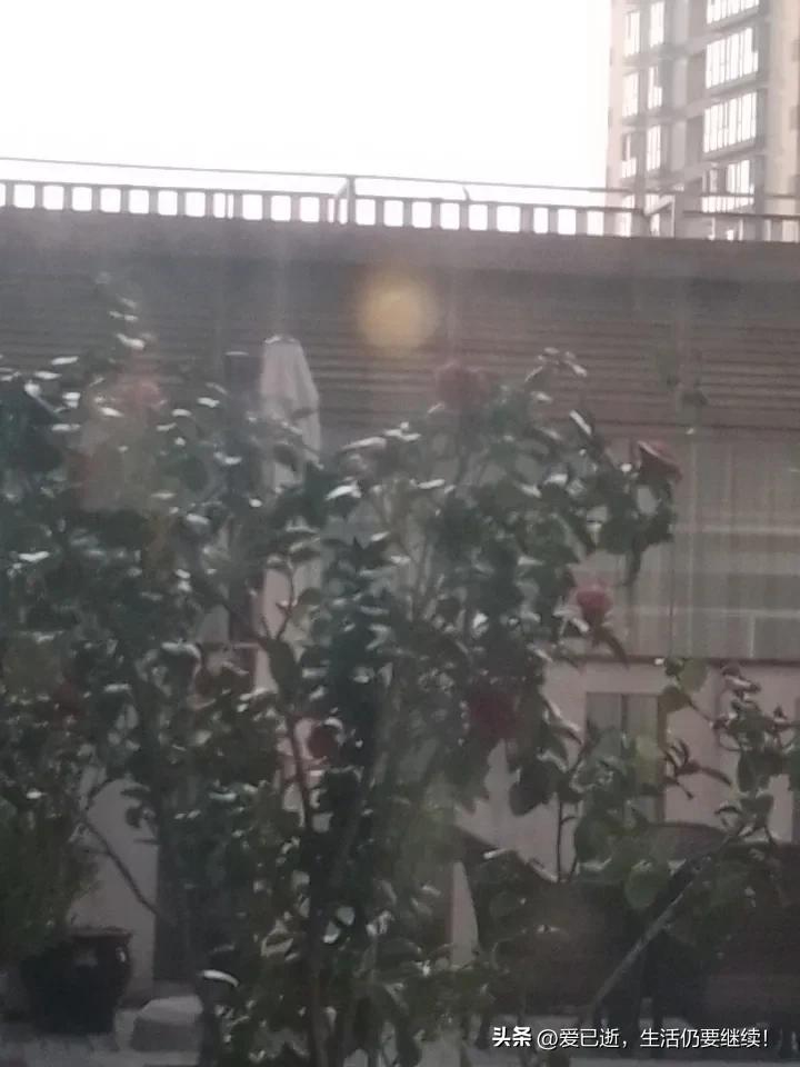 很久没有去沃尔玛超市逛逛了！今天计划中午下班后带儿子一起逛逛！沃尔玛运营日常 沃