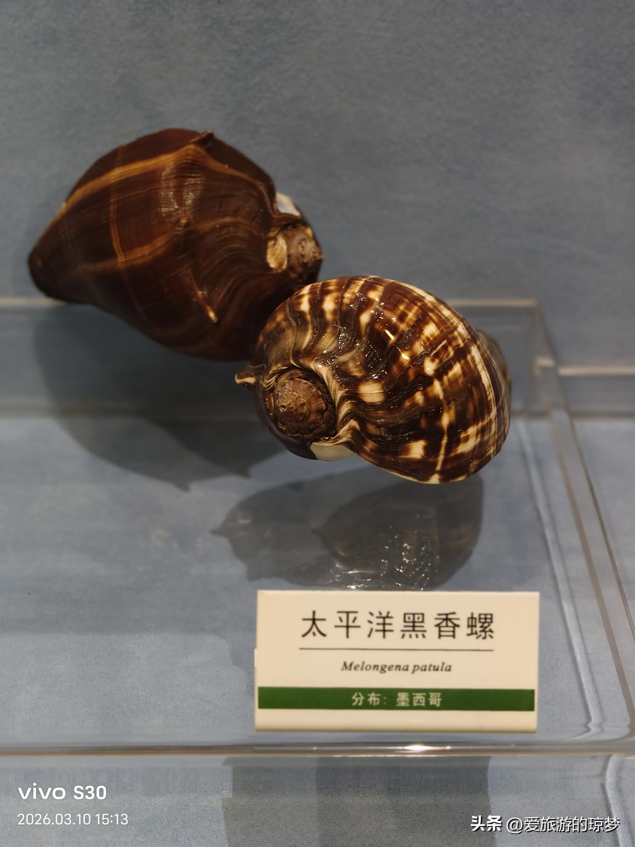 春日生活打卡季