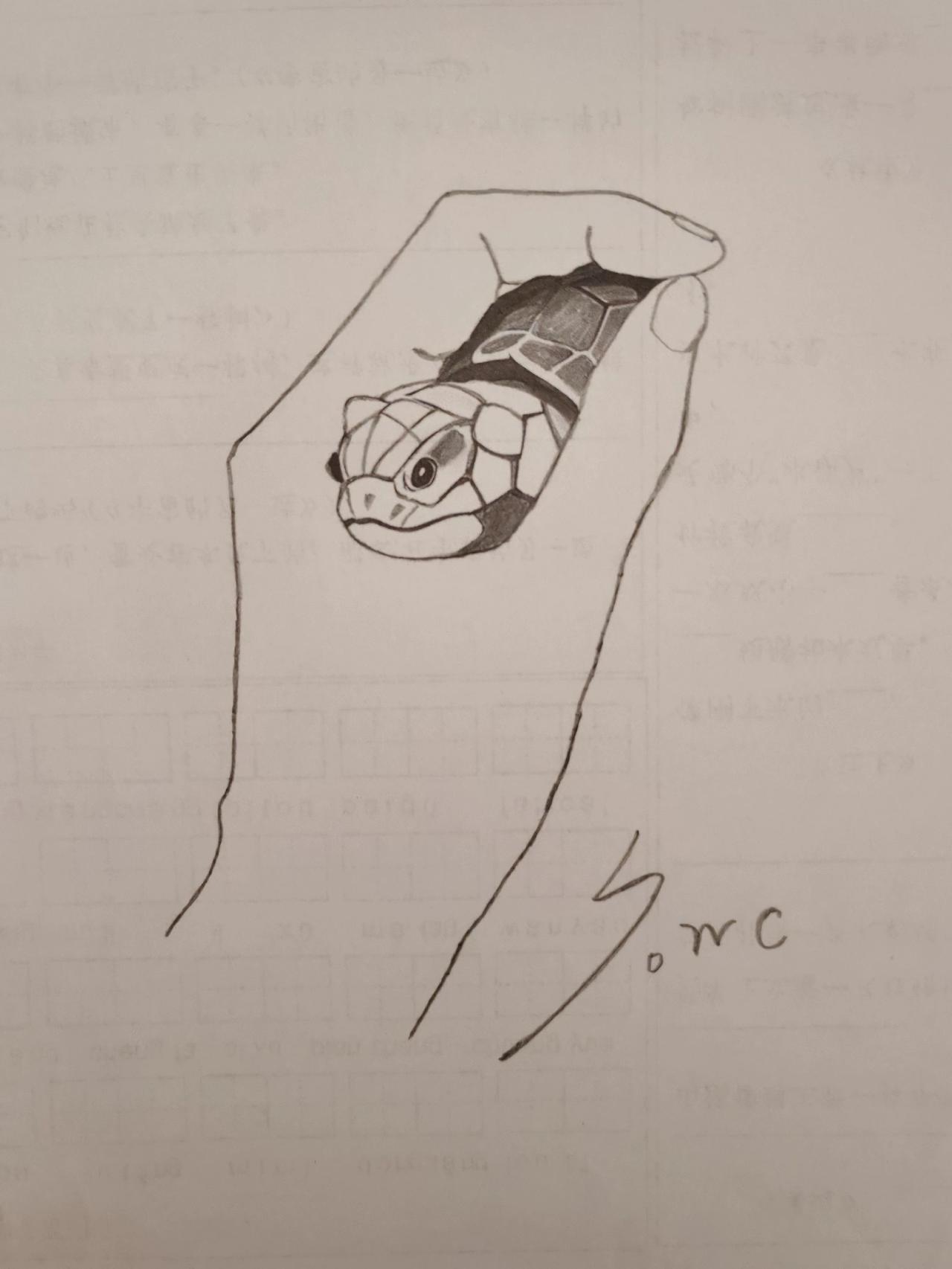 爱护动物，人人有责。
搞笑灵魂画手 简笔画