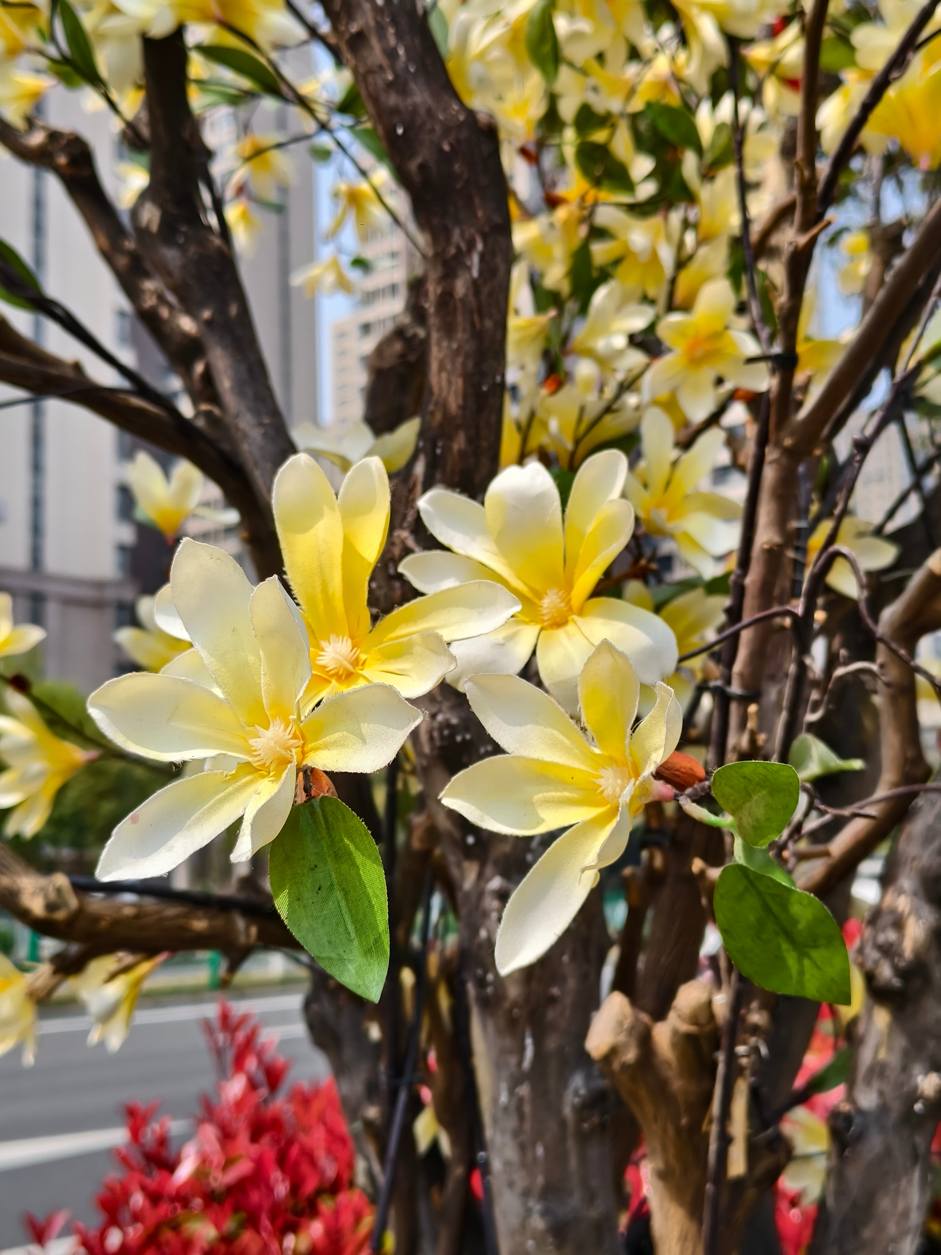 周三下班(੭ •_•) 