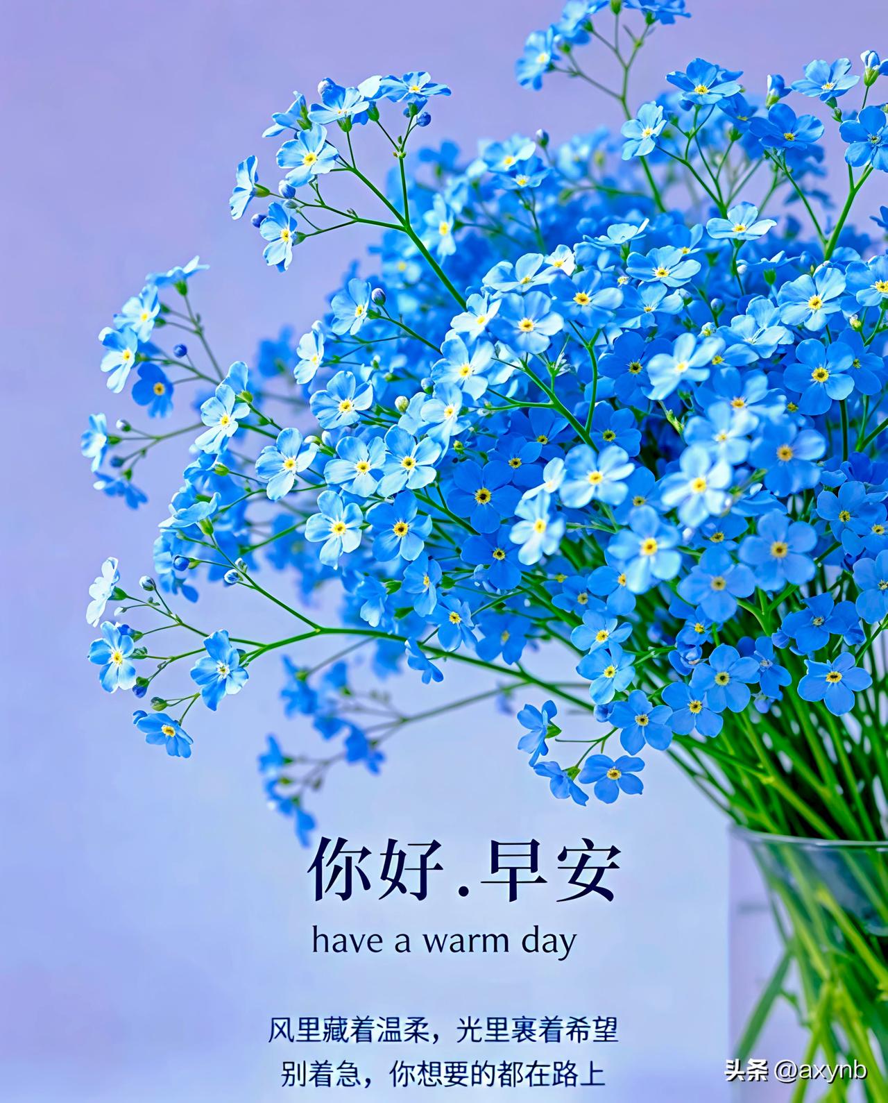 暖心问候，真挚祝愿；
顺遂无忧，喜乐安然。

晨言浅浅，暖意融融；
心意殷殷，福