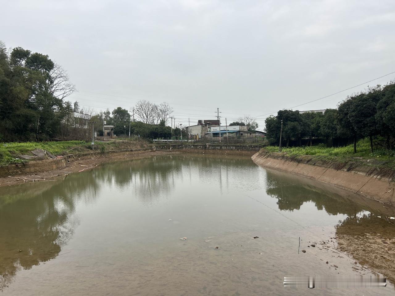 我种的菜不浇自来水，在我家租的小院前面有一口鱼塘，我用那口塘里的水浇菜！
这边农