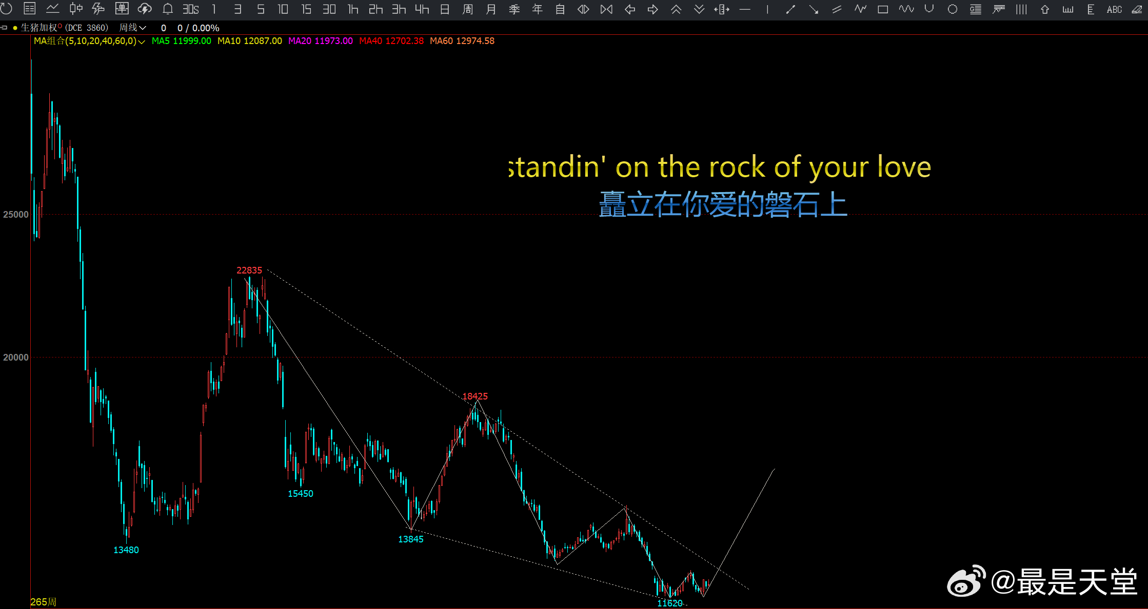 猪肉要动了期货投资交流期货