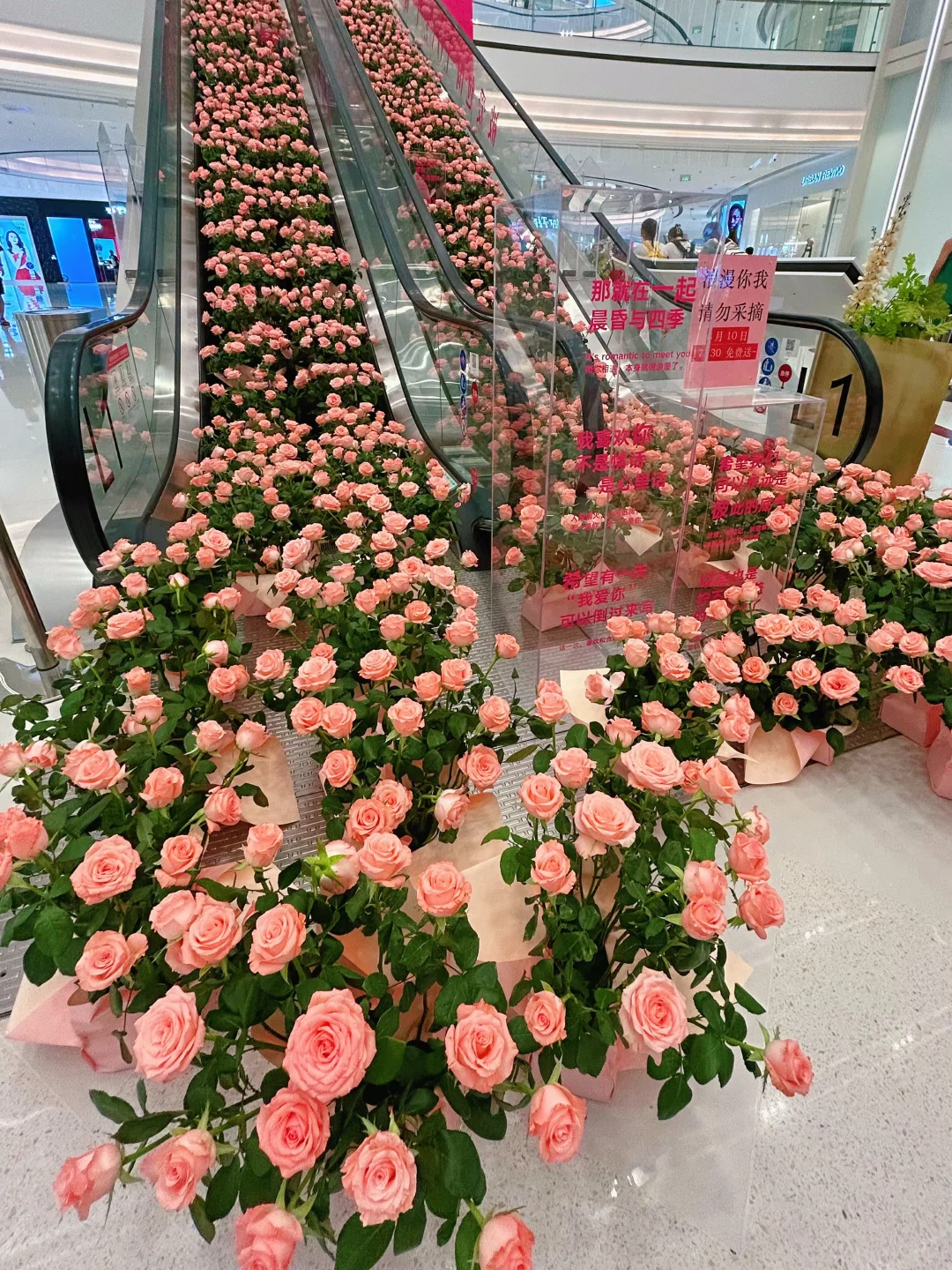 太原！浪漫的！七夕这天🆓分发！马上