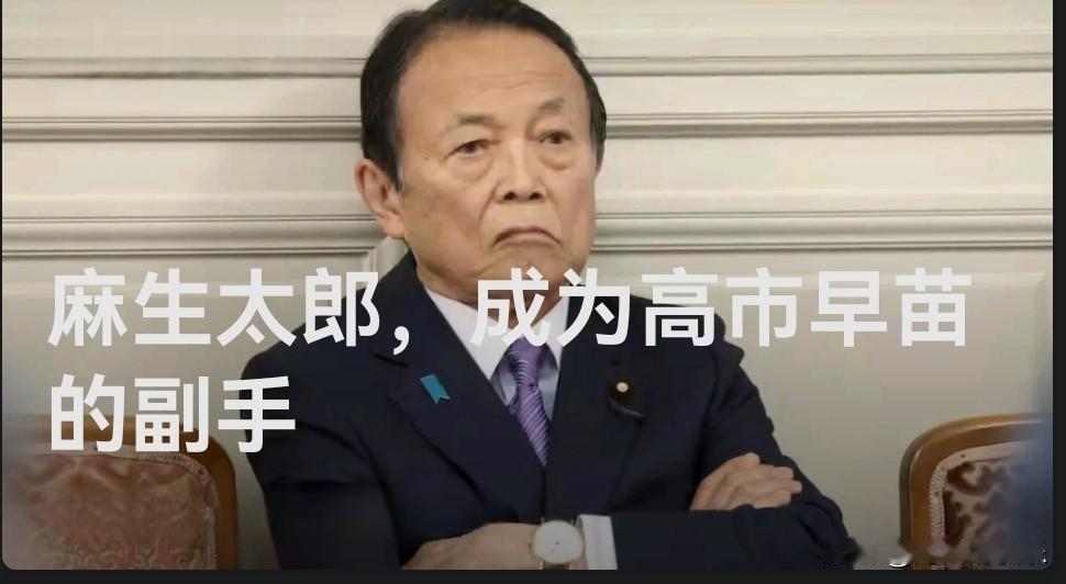 ‌日本自民党高层大调整 麻生太郎出任副总裁辅佐高市早苗‌

   据外媒报道日本