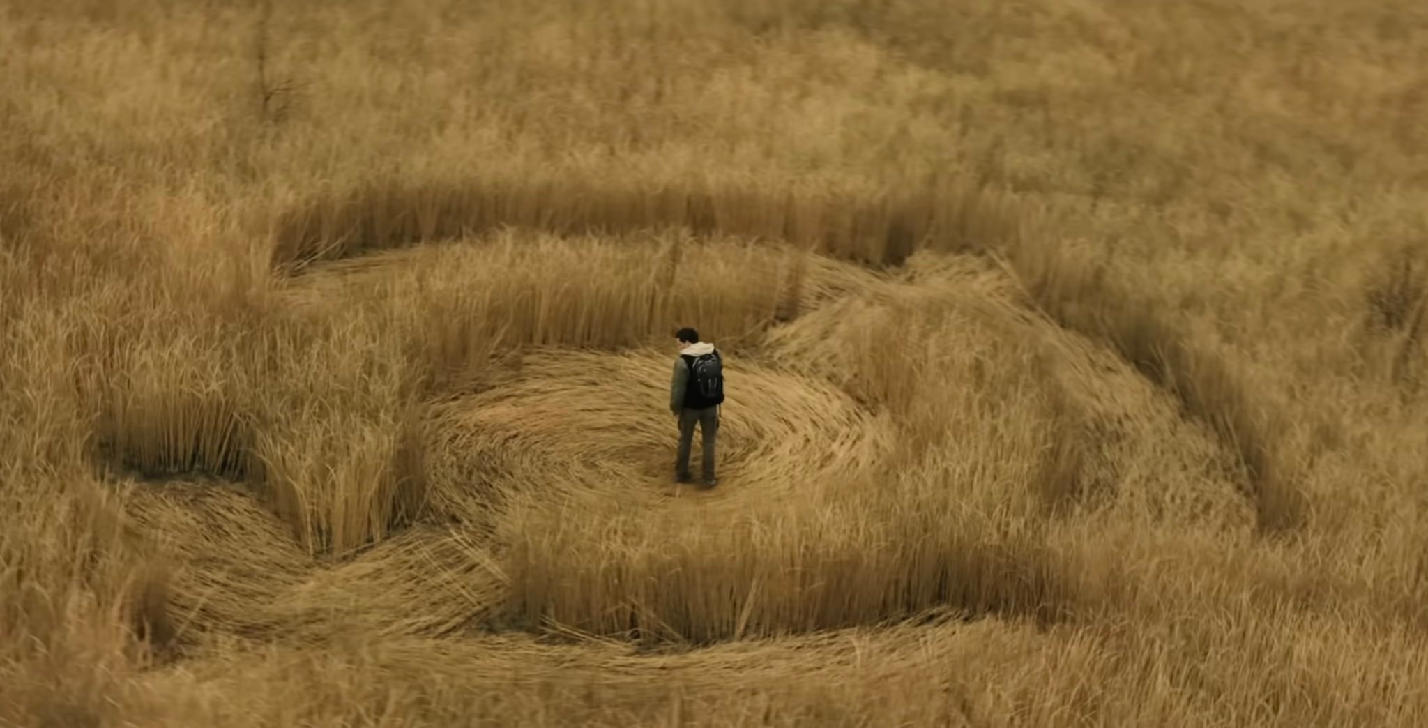 一年一度的预告片烧钱大战即将打响！据Variety报道，今年“美国春晚”超级碗广