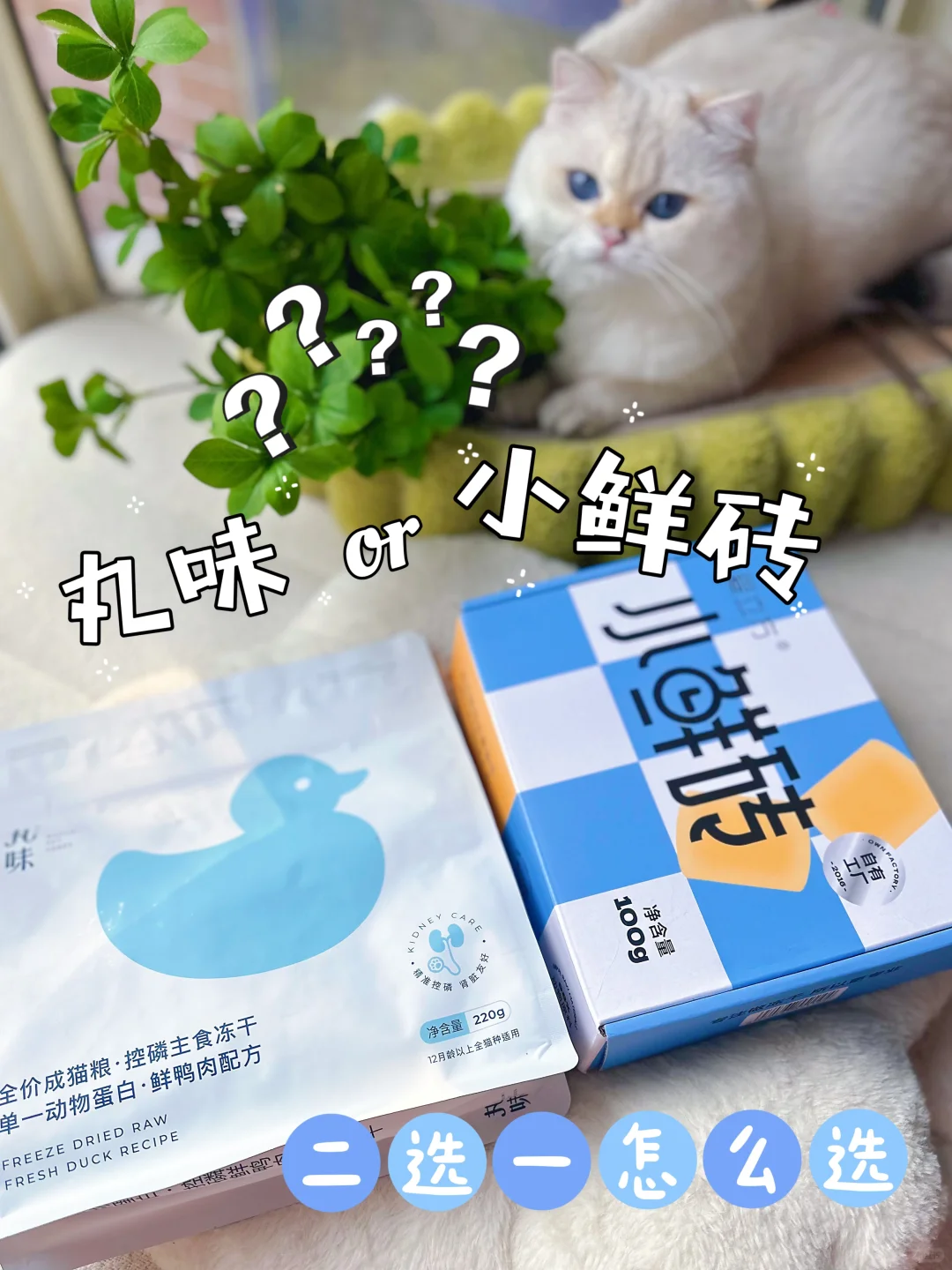 选丸味还是小鲜砖？主食冻干二选一
