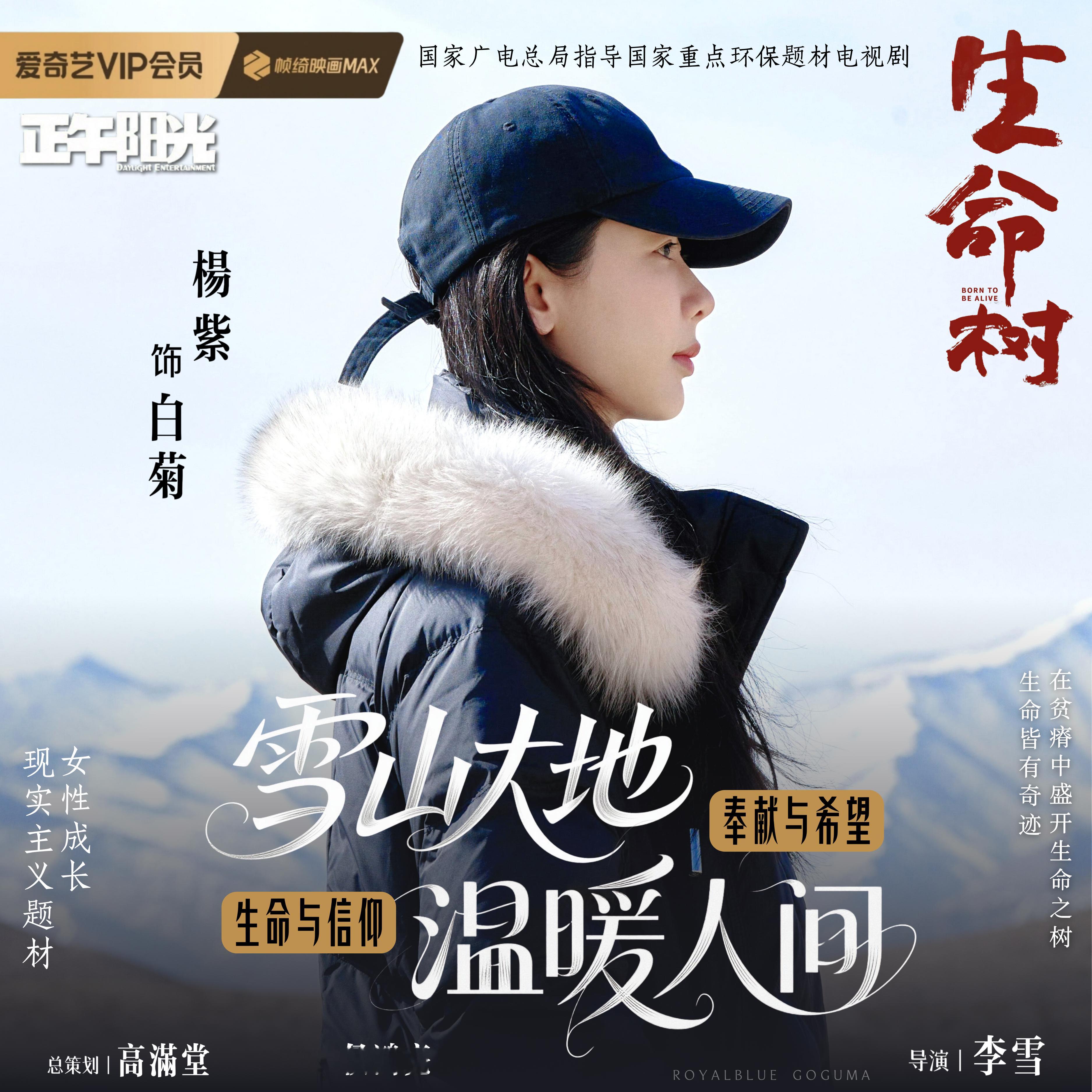 “雪巅白菊 向天而绽” （🈶🈚️码版） ​​​
