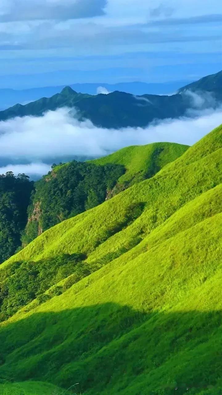 技术的尽头是概率，概率的尽头是风控，风控的尽头是盈亏比，盈亏比的尽头就是系统，系