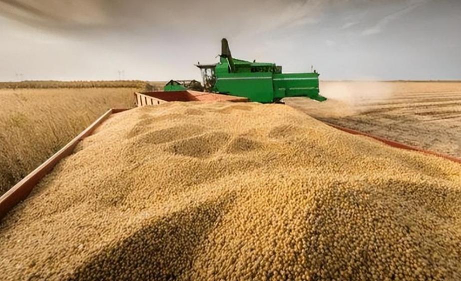 巴西地大物博，粮食年产量高达三亿吨，按理说，这点粮够2.1亿人吃个饱。
但现实是