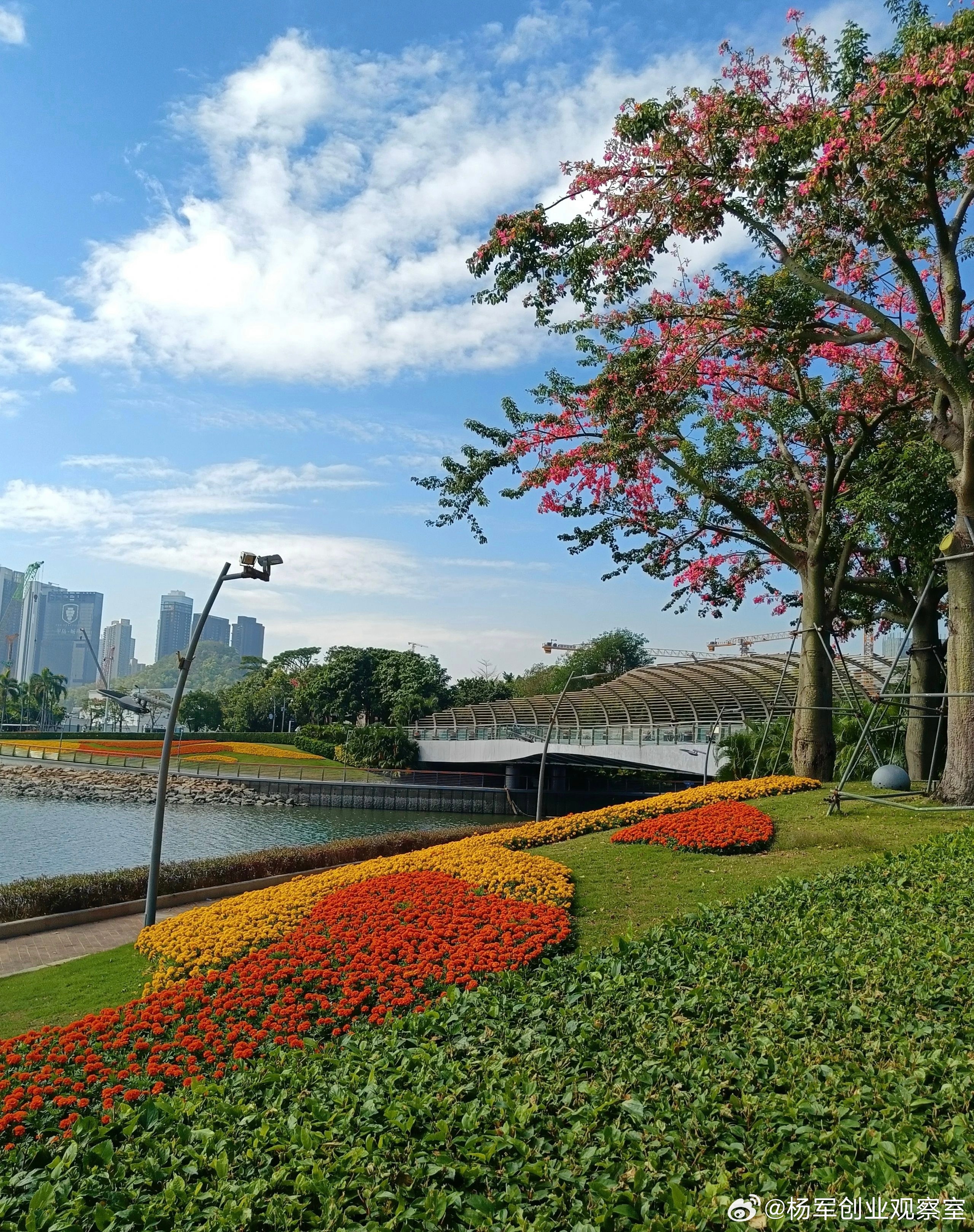 朋友们，最近在服务项目时，深刻感受到AI对财务尽调能增效它正将尽调从“事后核对”