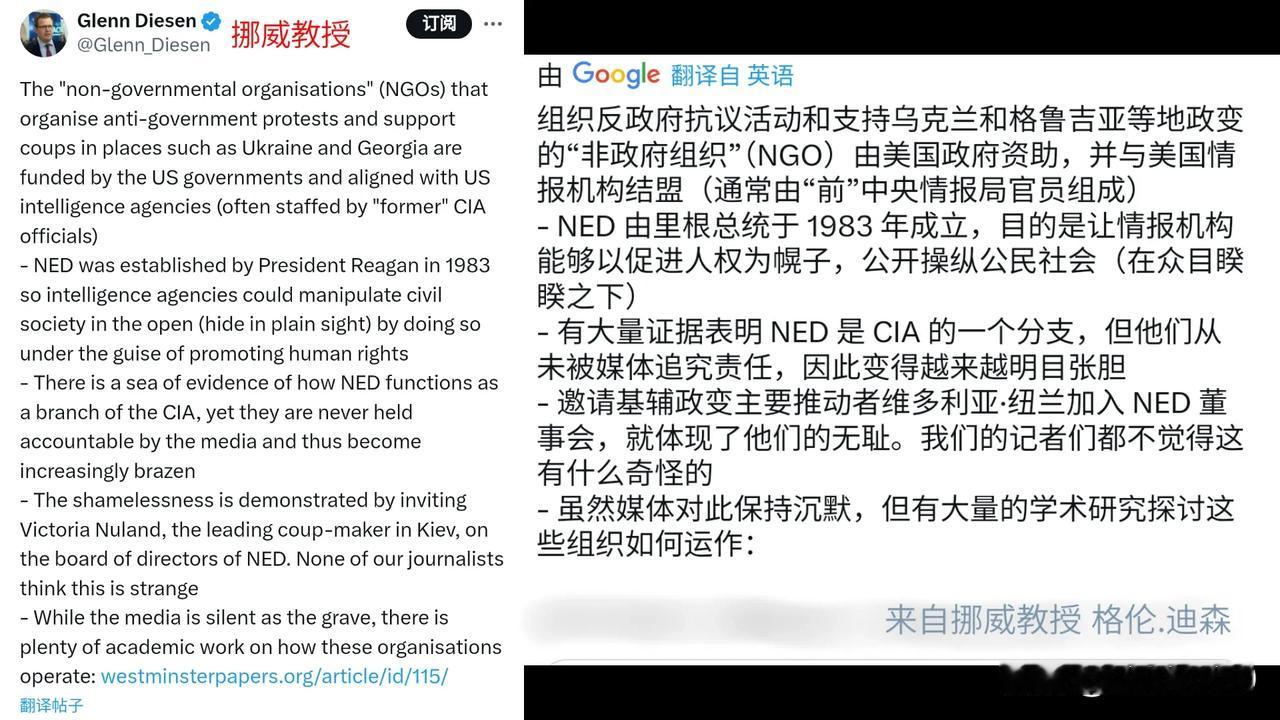 格鲁吉亚正在发生颜色革命。背后的推手是谁呢？挪威教授格伦.迪森说：一个叫NED的
