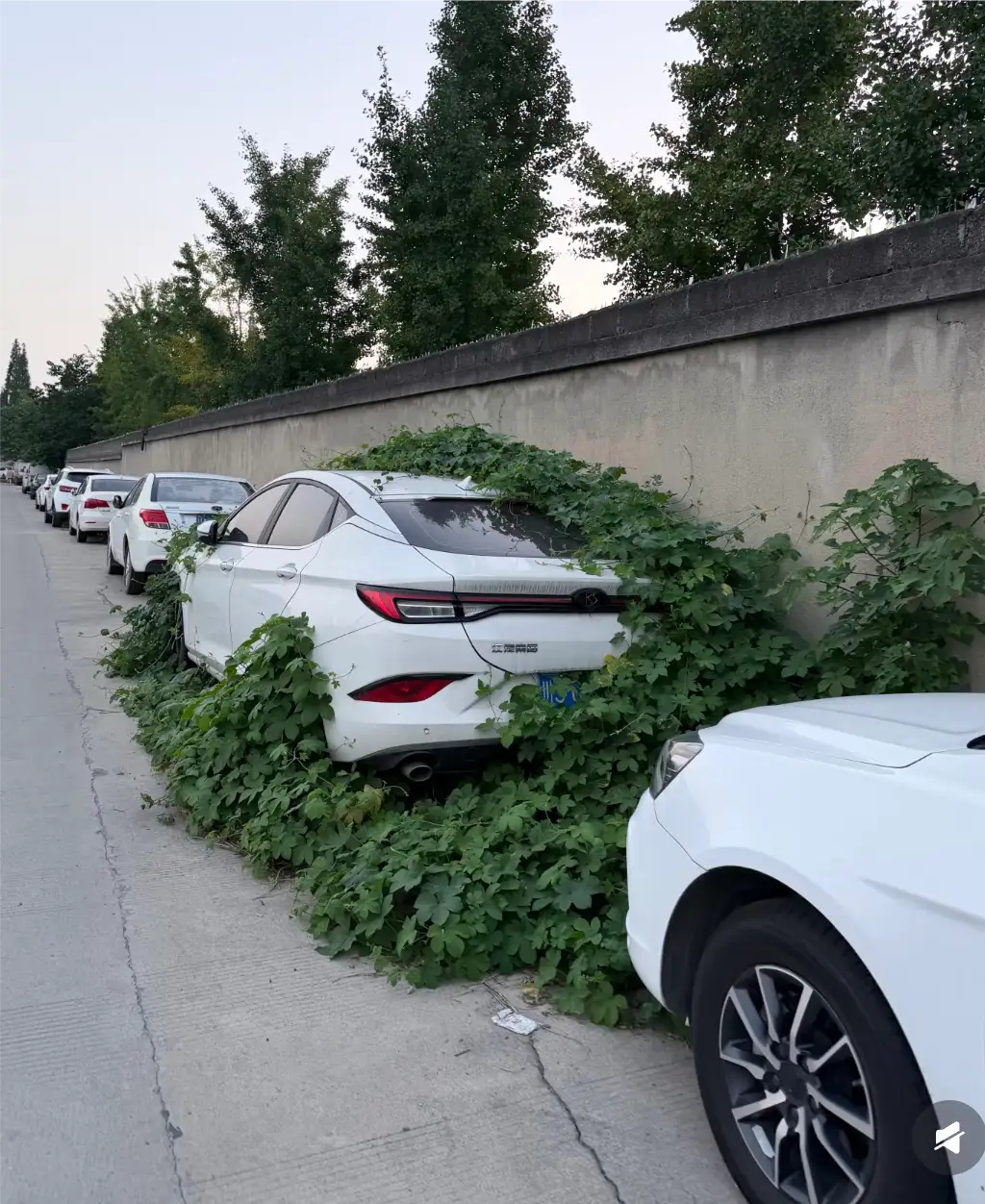 这么好车就不要了，真可惜 
