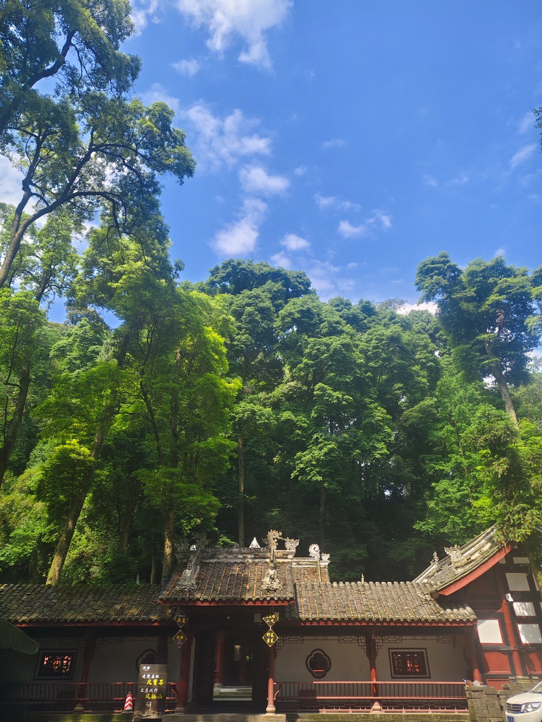 我们追星女爬山累半死也不会忘记要给孩子打卡😌 