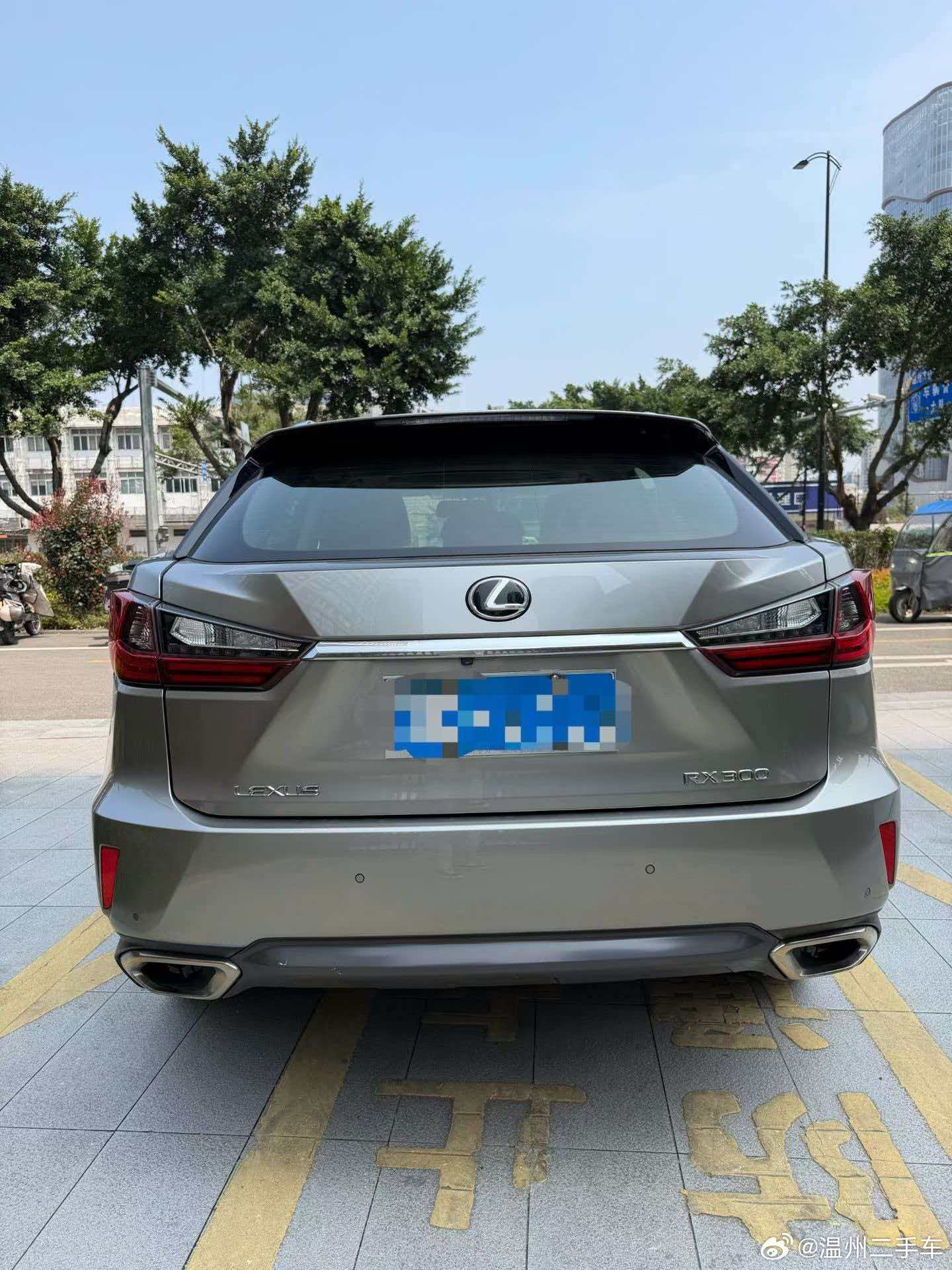 19年4月雷克萨斯RX300一手车精品车况13万公里查博士S级，价格15.X 