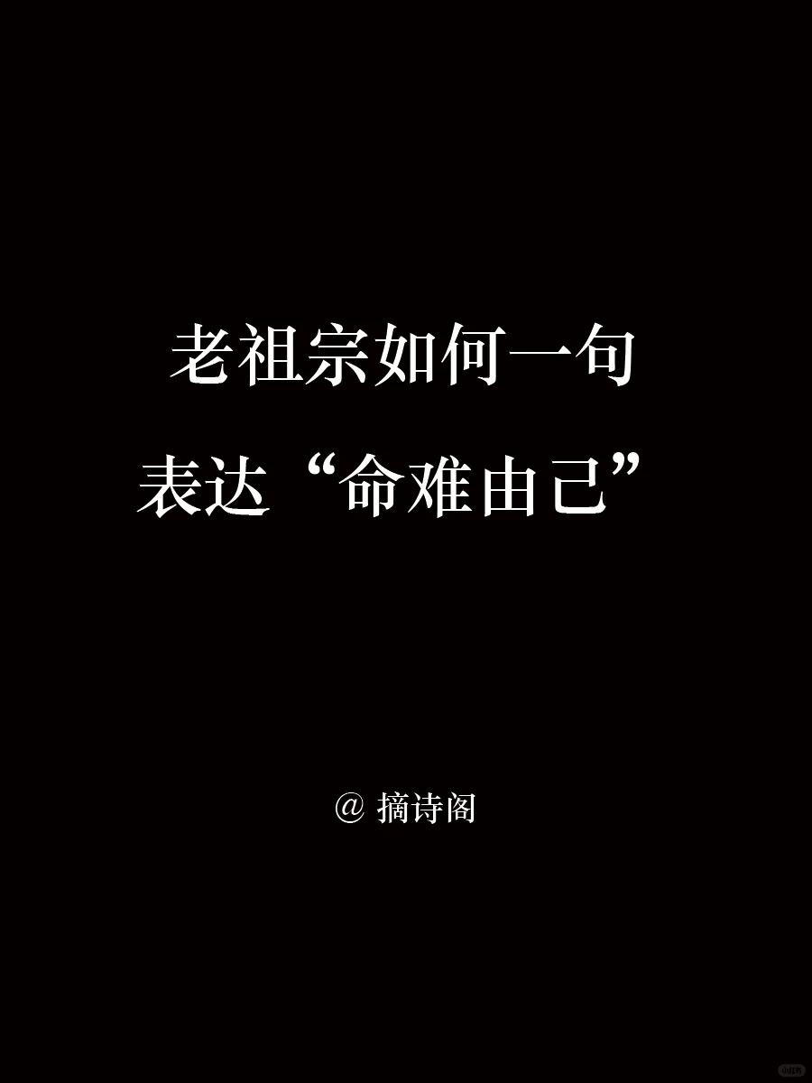 老祖宗如何一句表达命难由己