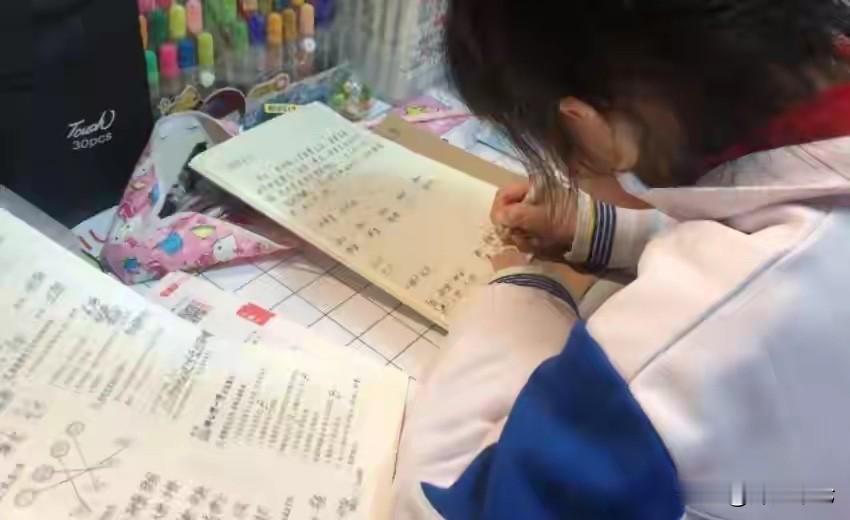 强烈支持对所有参与中小学教材编写、审核、审定的工作人员，开展严格的政治审查，价值