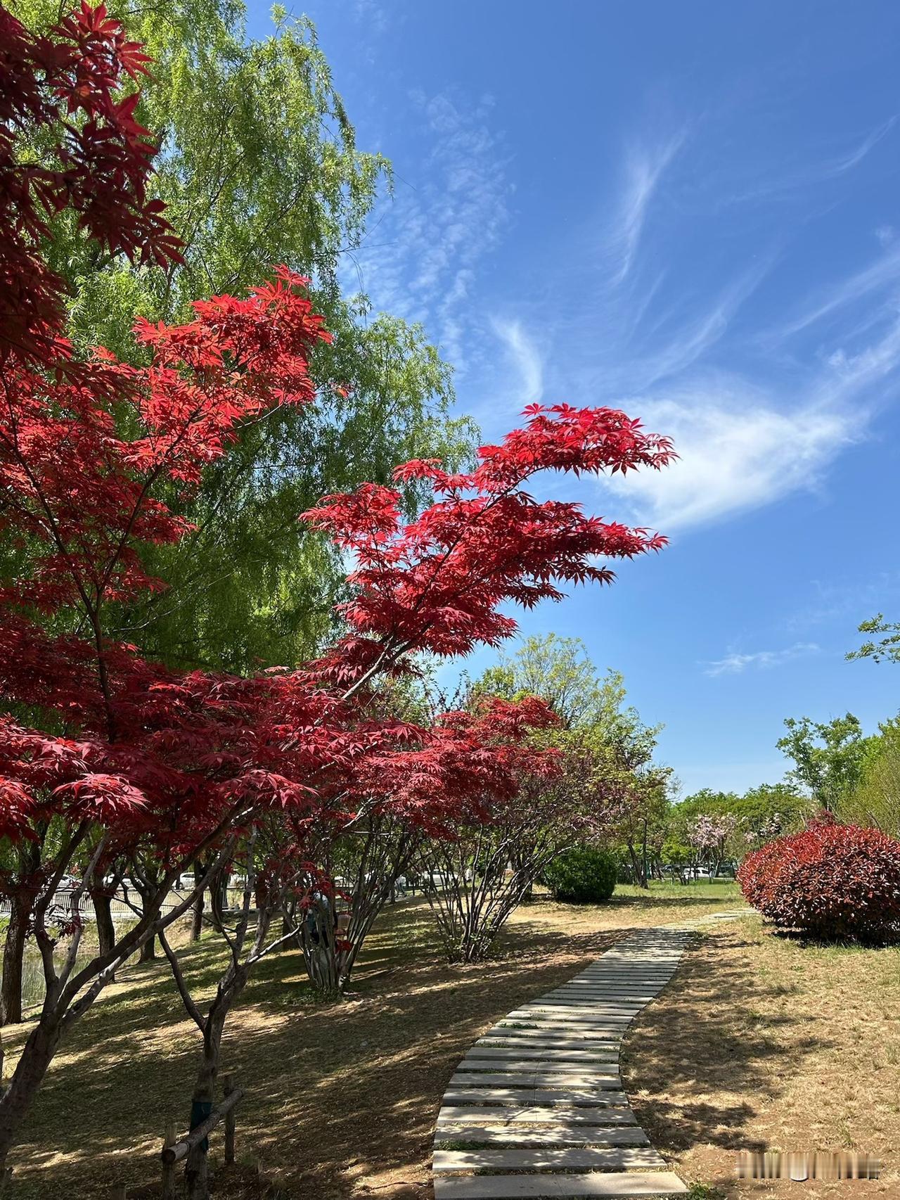 最美的配色，大自然给的色彩美学。美的感受从来不在我们想象的世界里，多出去走走多看