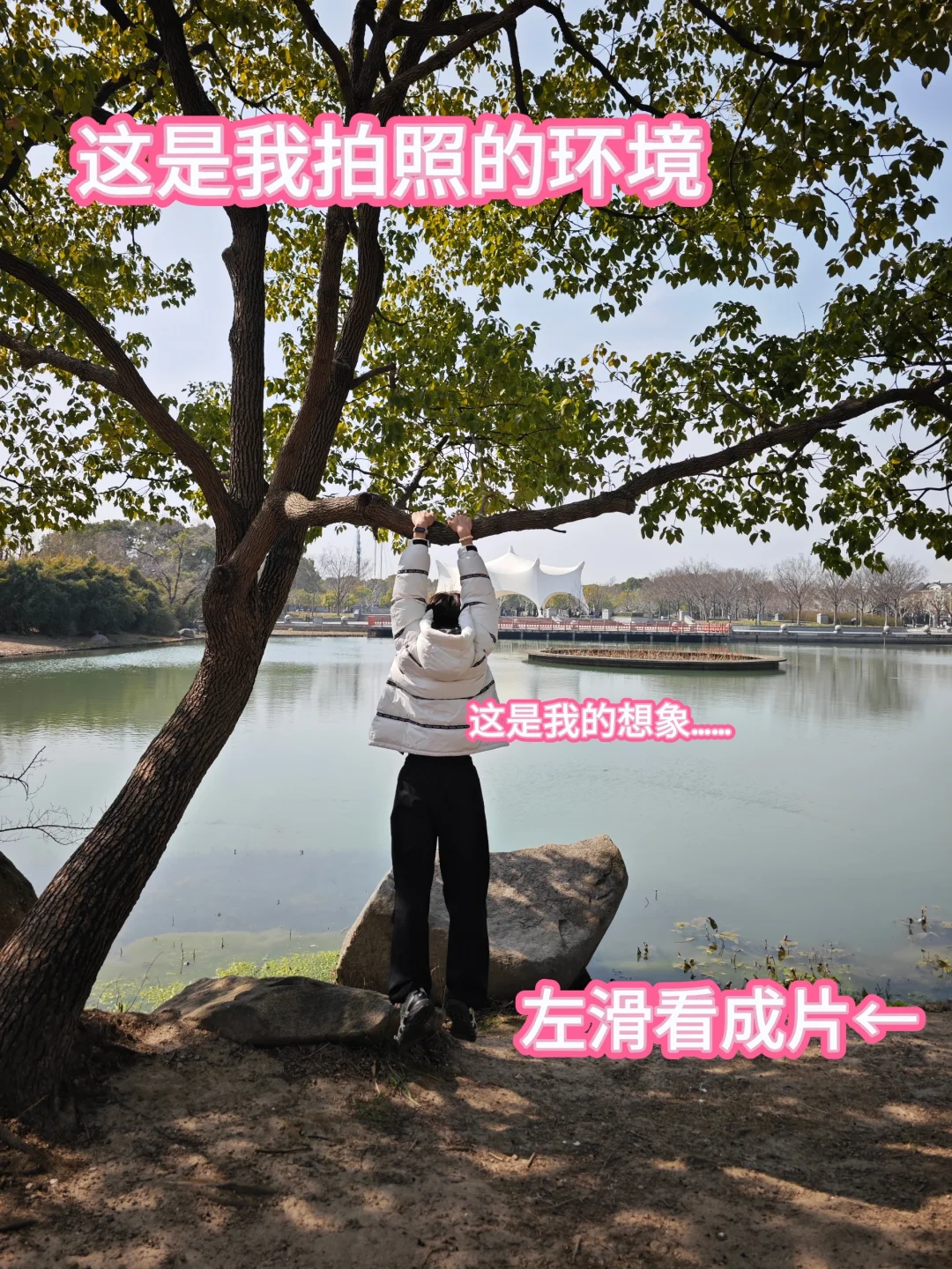 现在用这个标题还来得及吗