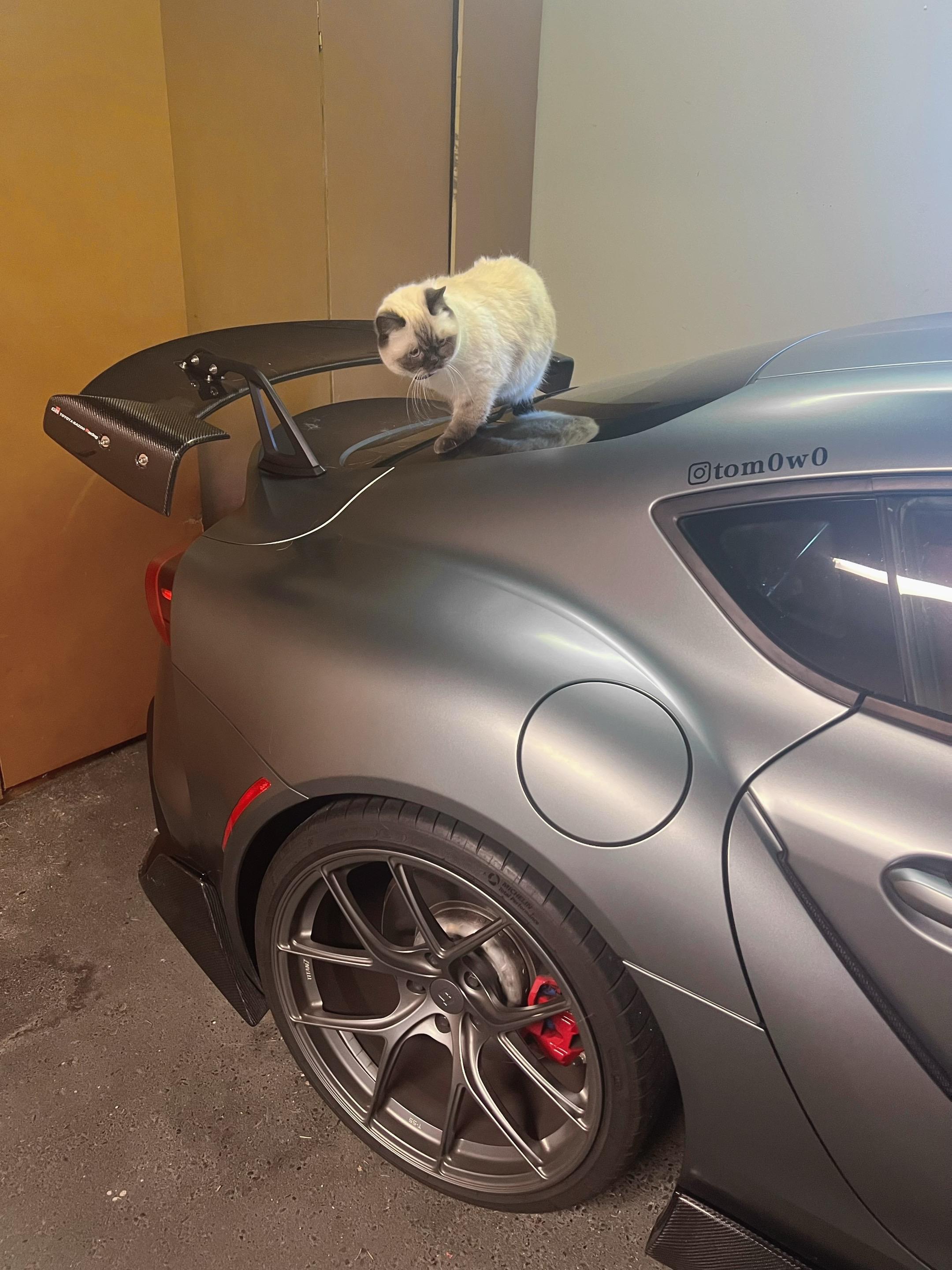 你家猫开什么车。