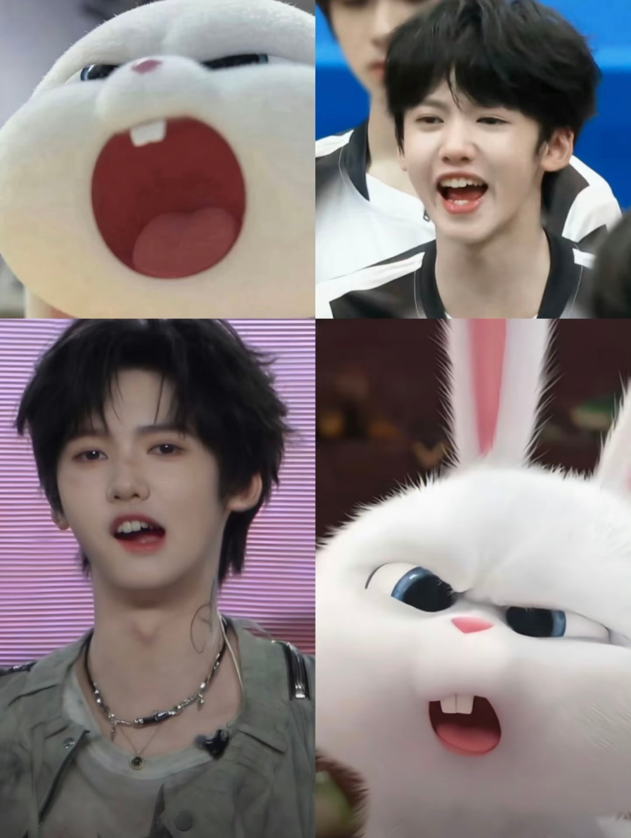 张奕然这个小萌妹 我都我都 萌死我了 